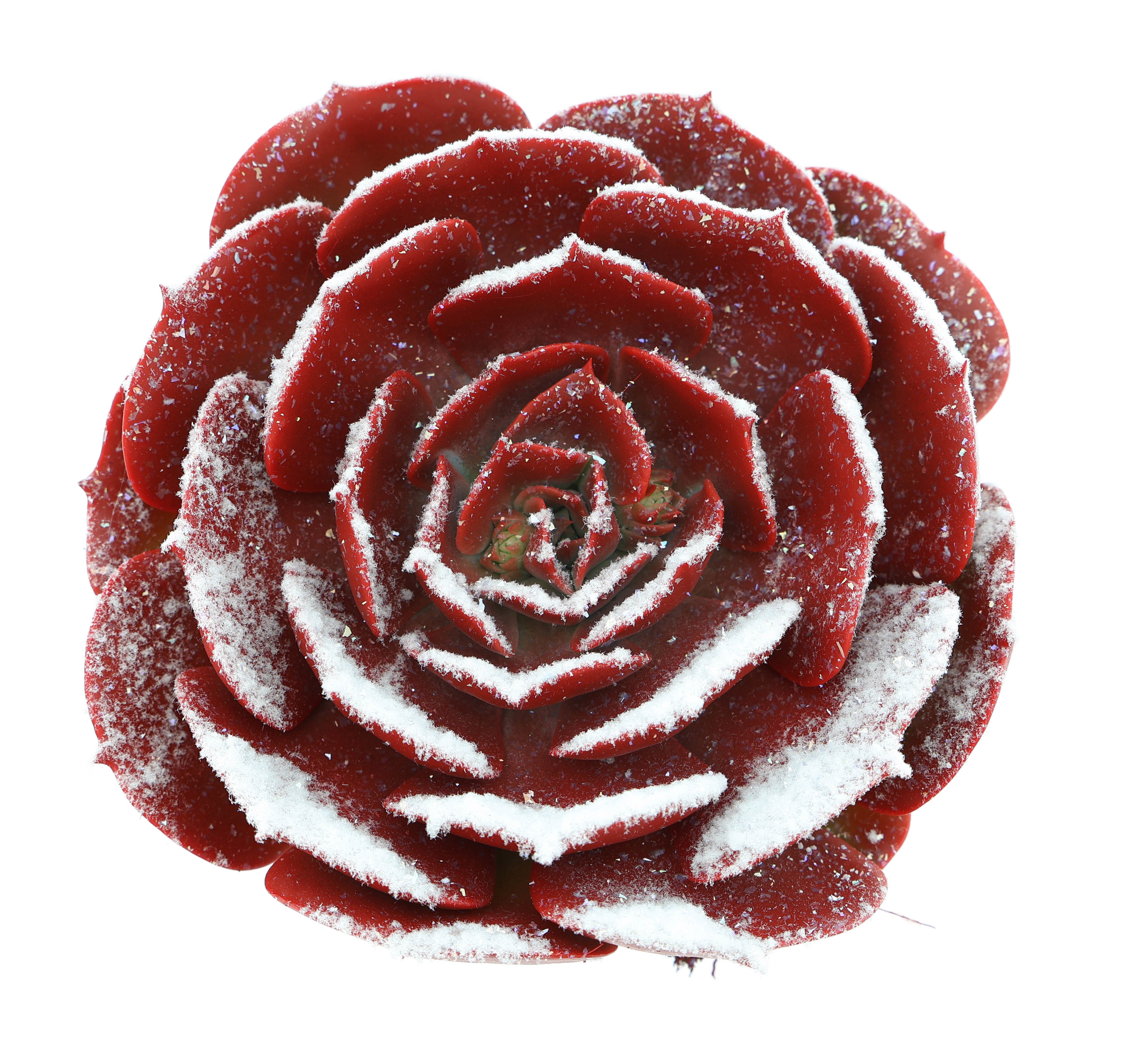 Pollux snowy + bio snow, D 10,5