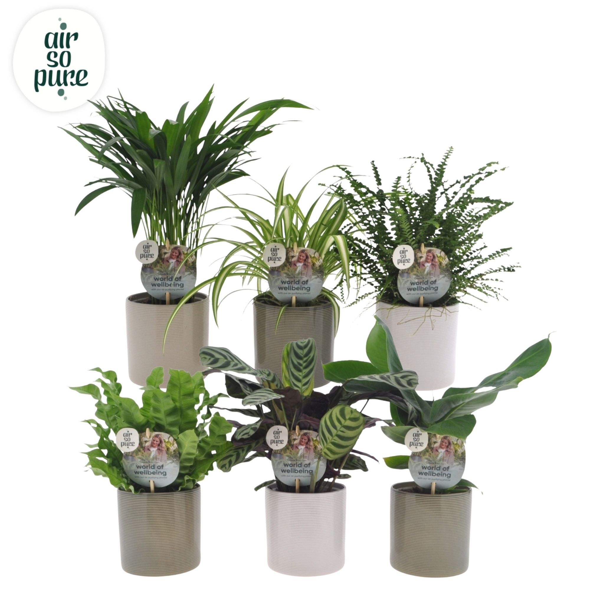 Air So Pure mix in Havana mix keramiek, D 12