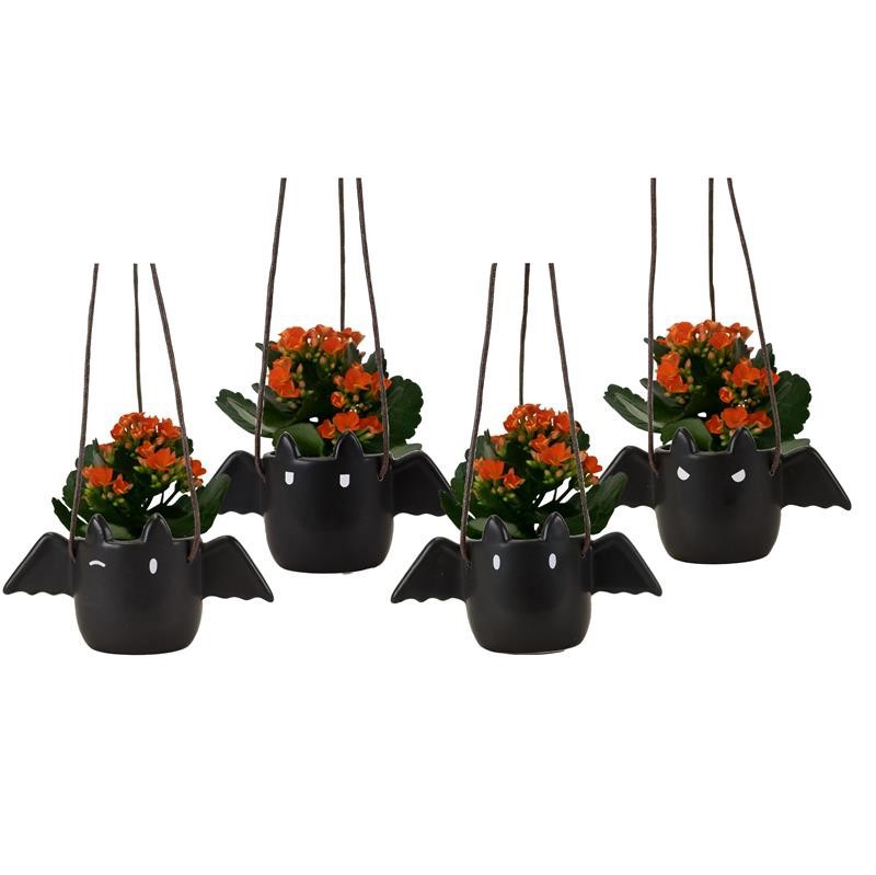 HALLOWEEN CERAMIC 730422 Flappy Kalanchoe, D 6