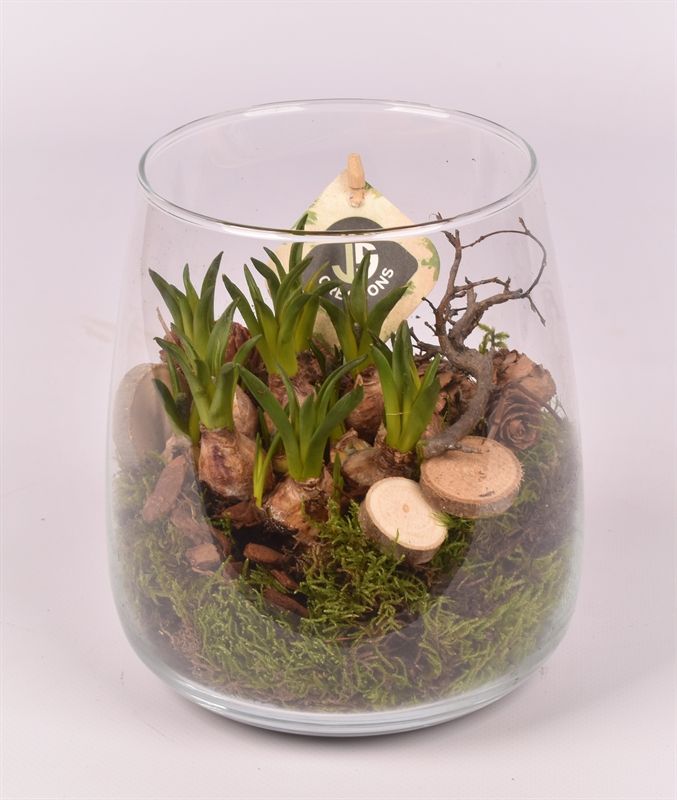 Glas vaas D12/15 hoog 17, D 14