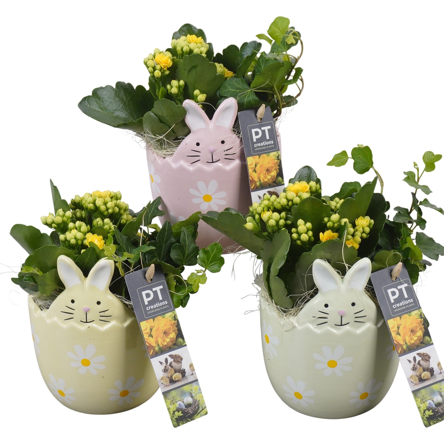 PTPB6624 Arrangement Easter in keramiek konijn, D 11