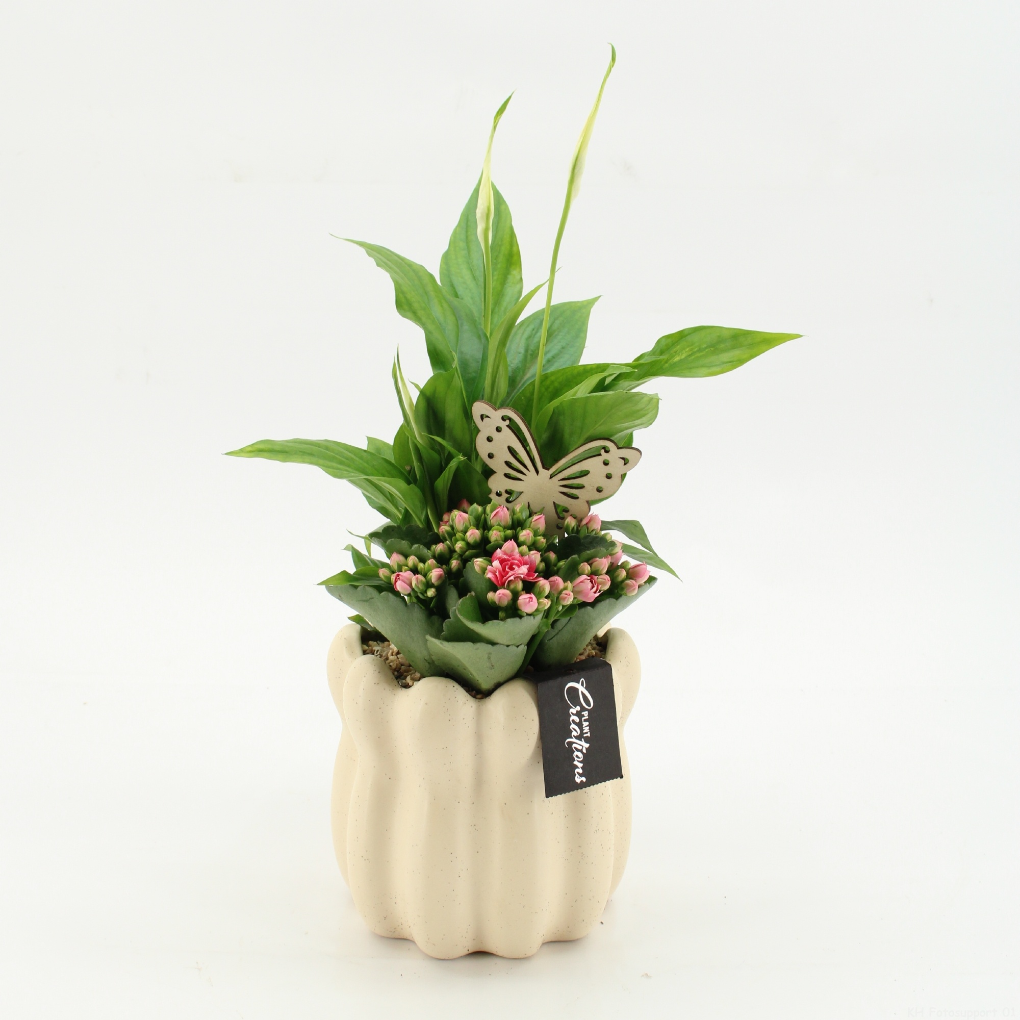 ESCR-2613RZ Essentials, D 14