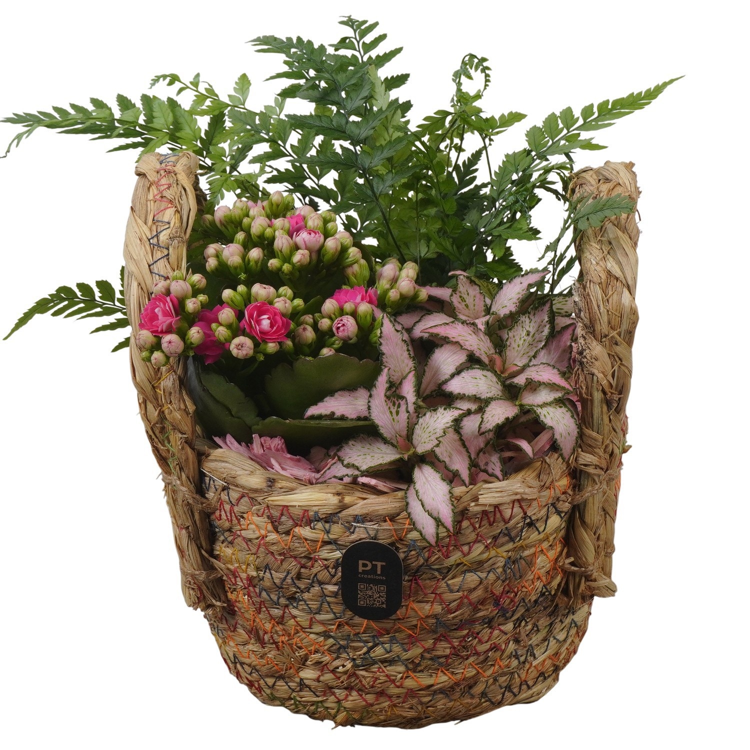 PTIB5217 Arrangement Indoor in rieten mand, D 15