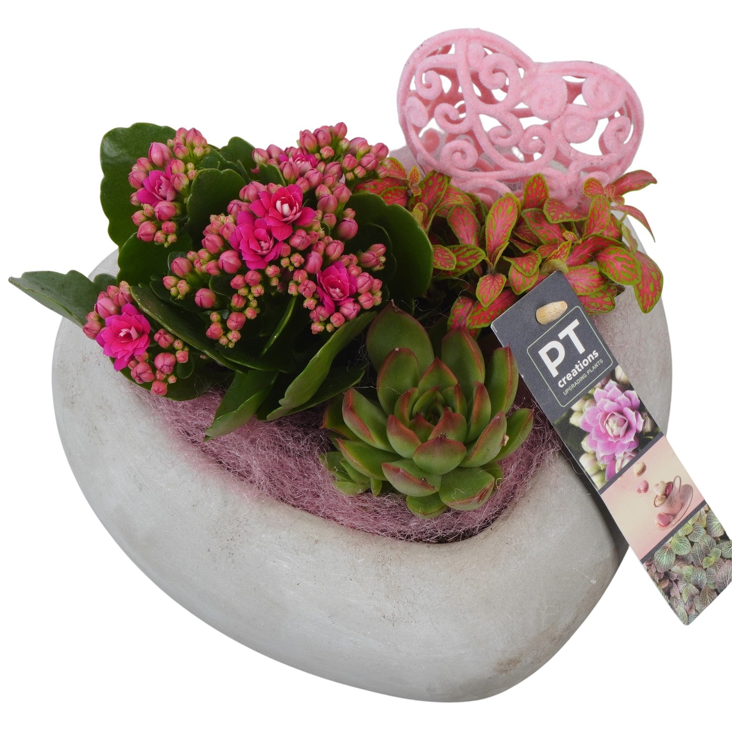 PTVMB2281 Arrangement Valentines-Mothersday in beton hart, D 20