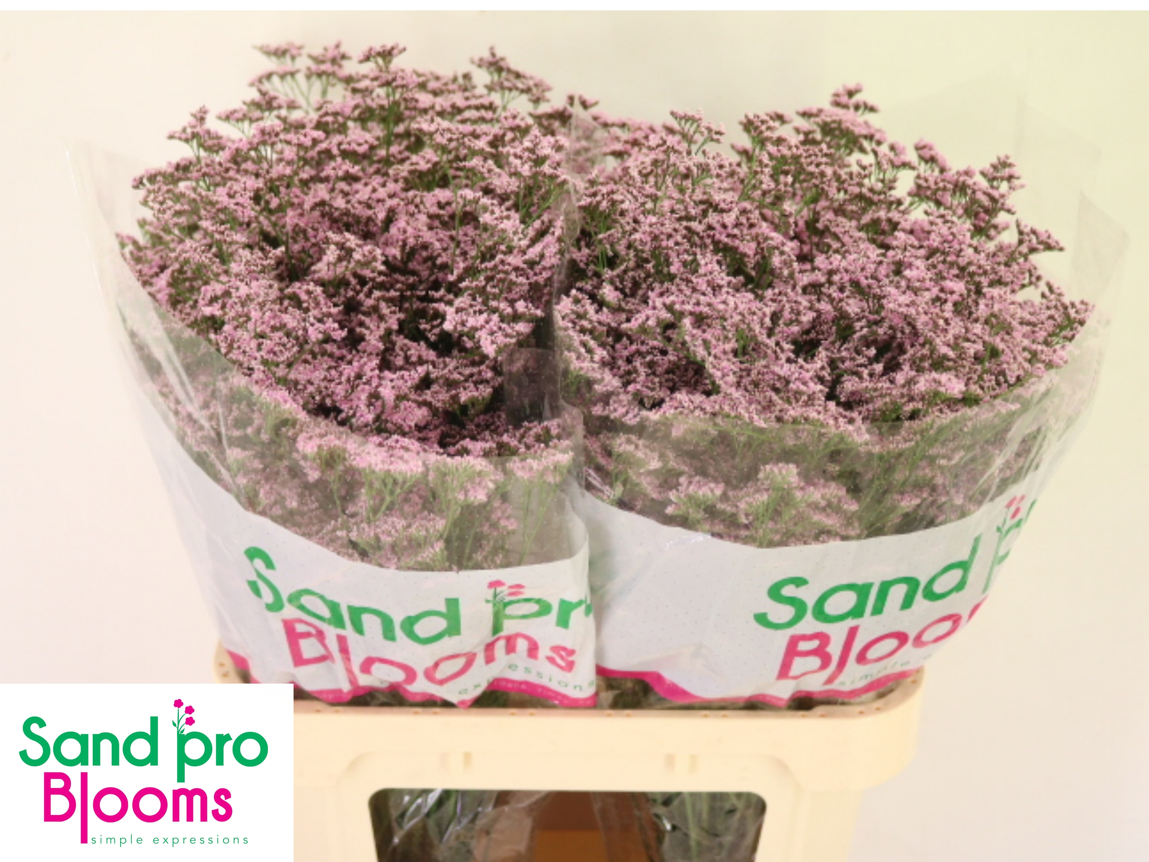 Лимониум Сафора Оши Пинк 70 (светло-роз.), шт.