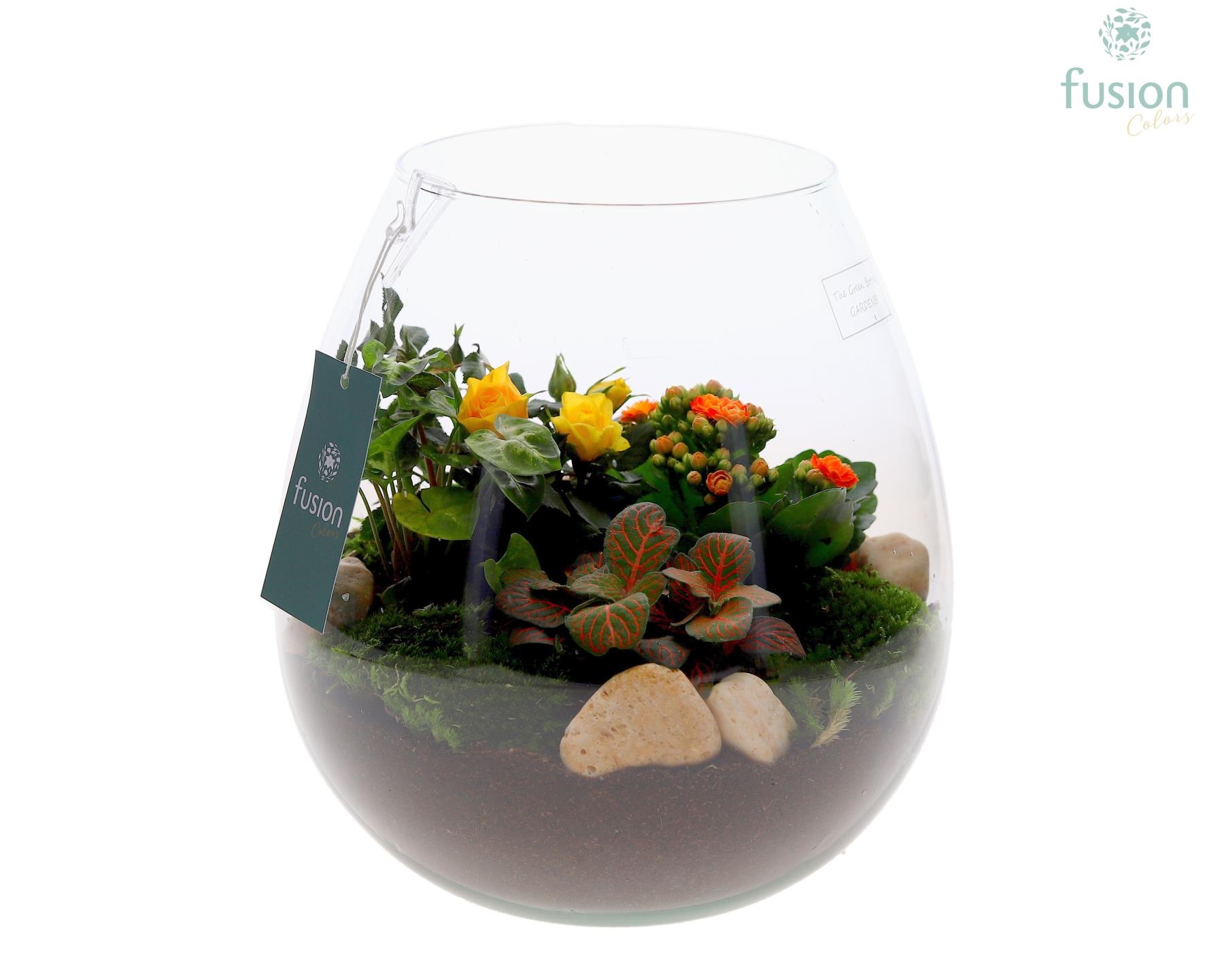 Green Bottle Abby Large met arrangement, D 24