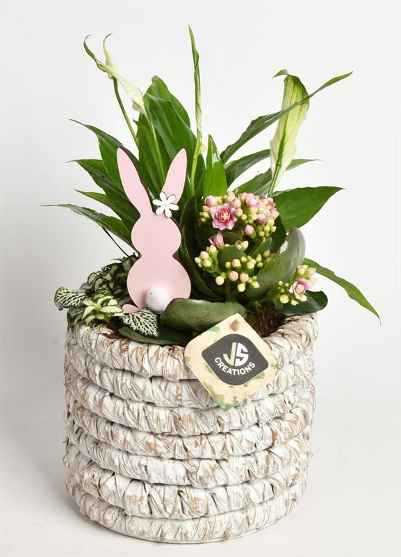 Mais mand 15.5 cm white wash, D 15