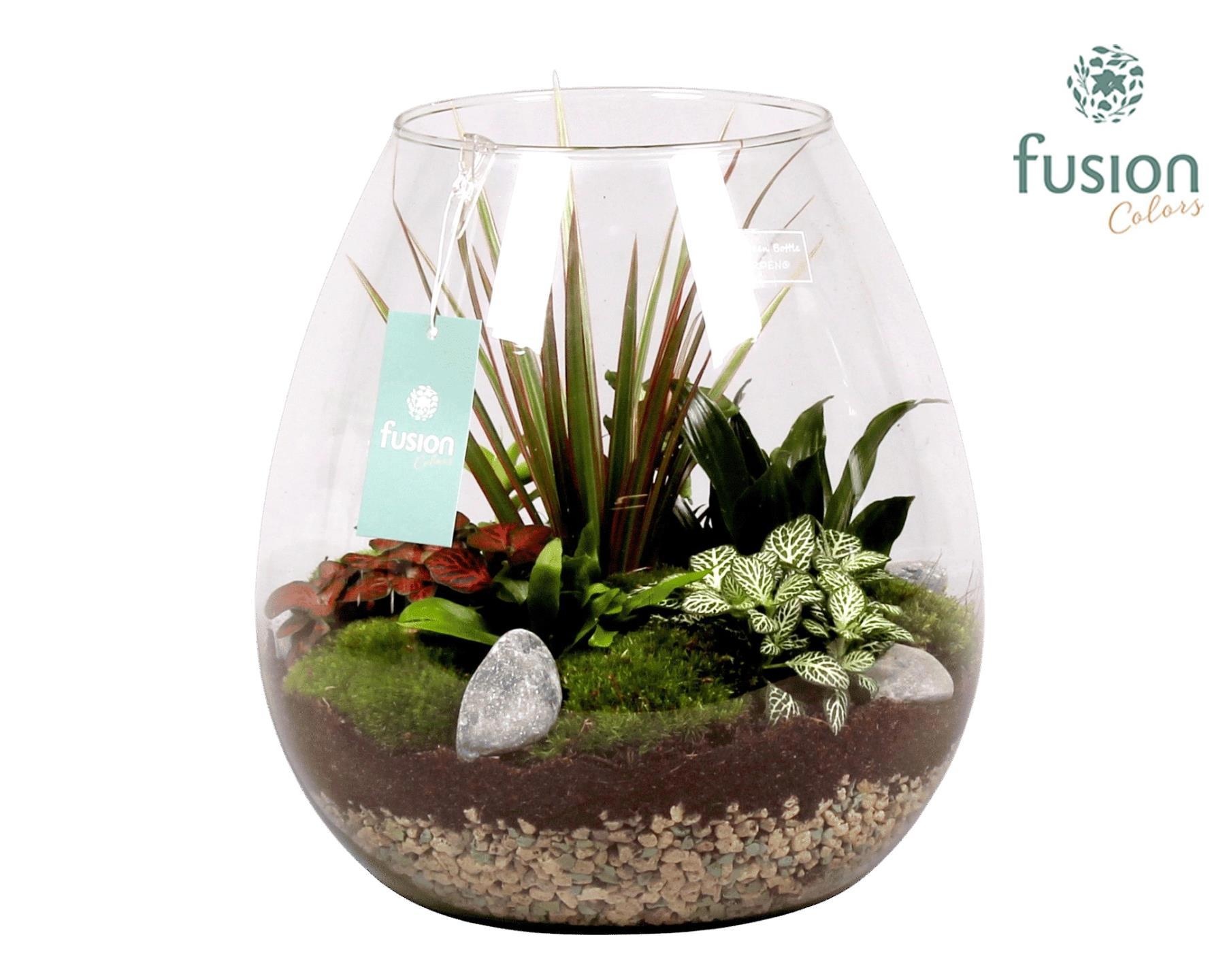 Green Bottle Abby XLarge met Groen Planten, D 28