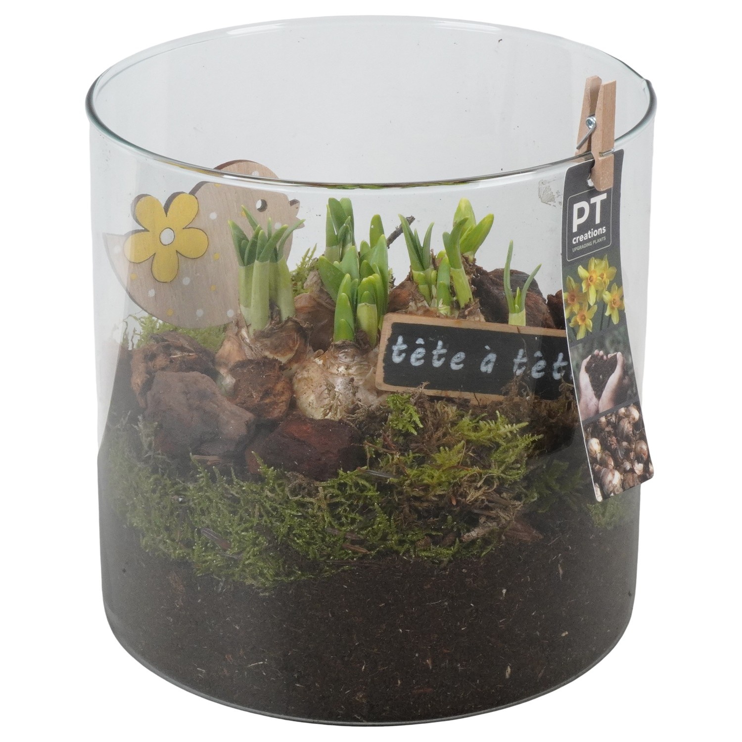 PTN8745 Arrangement Narcissus in glazen vaas, D 19
