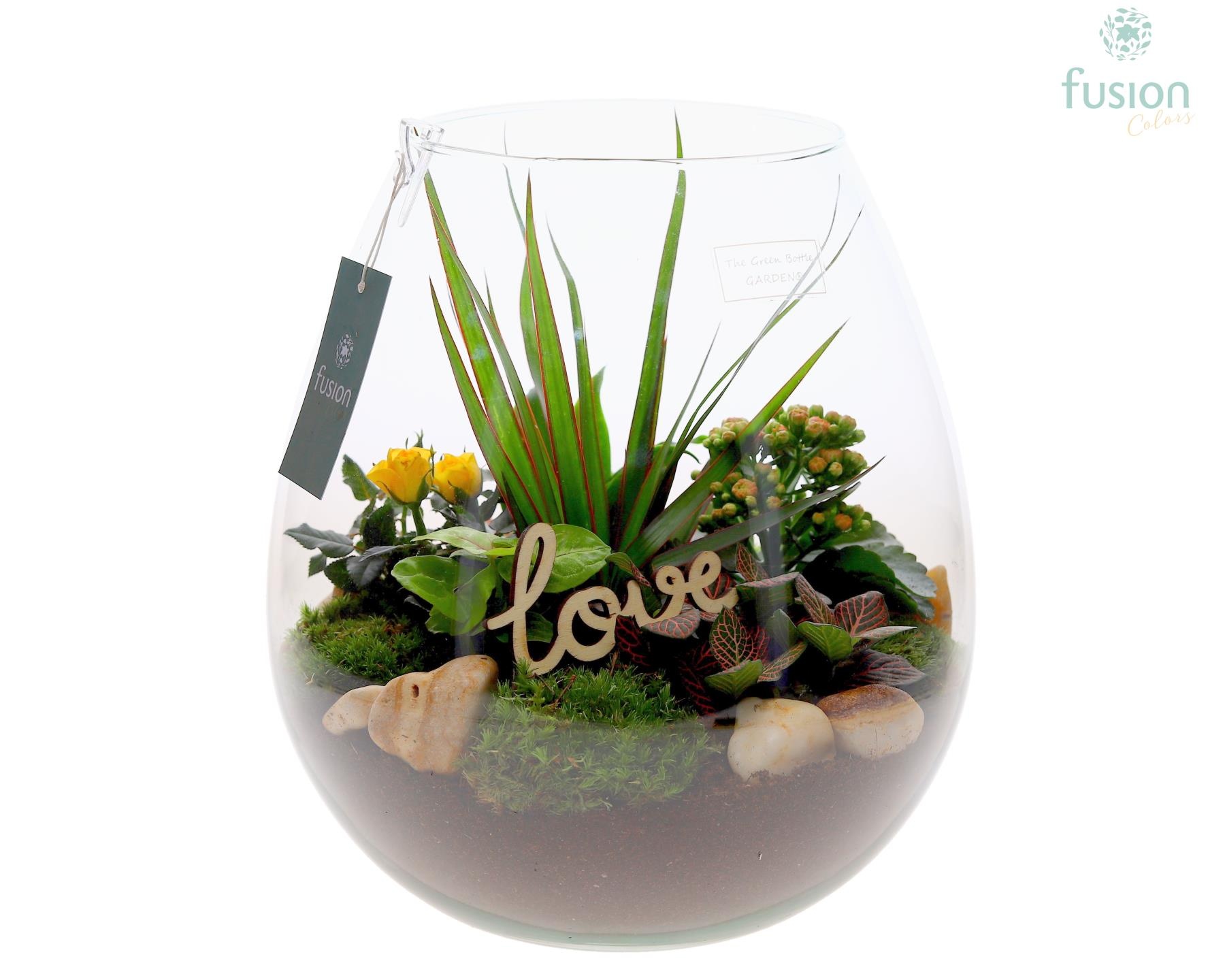 Green Bottle Abby XLarge Love met arrangement, D 29