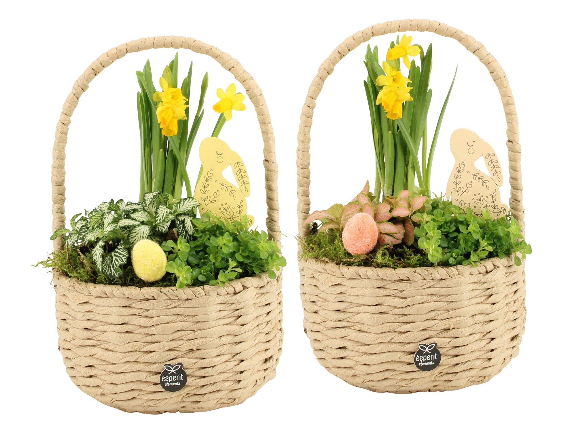 70876: Easter arrangement, D 17