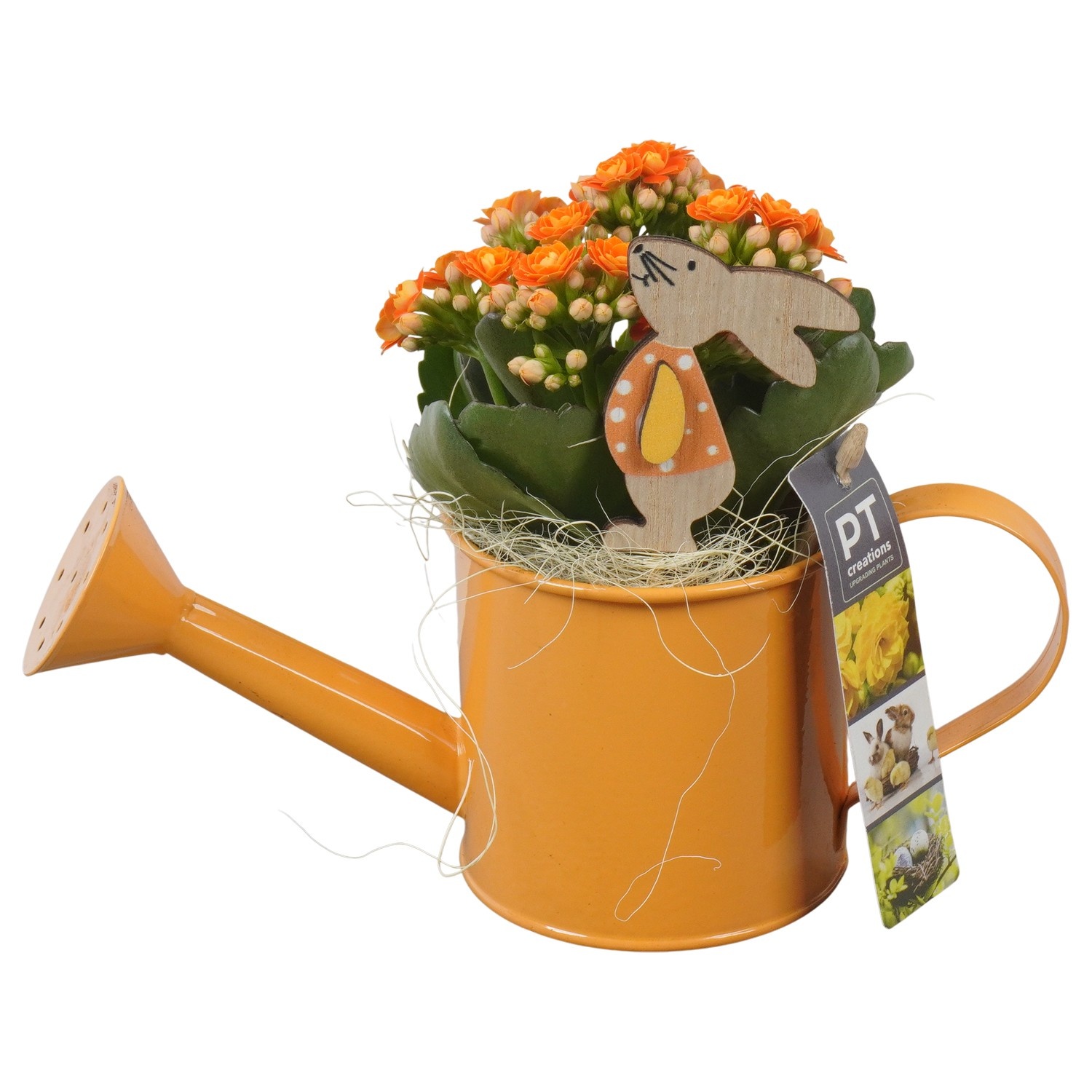 PTPB6428 Arrangement Easter in zink gieter, D 9