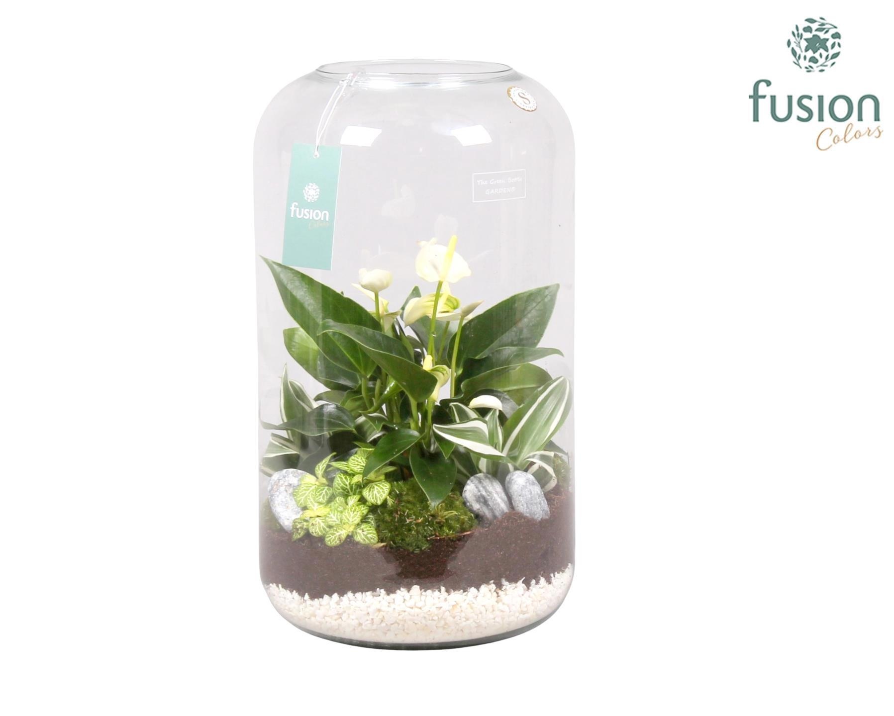 Green bottle xxlarge met white arrangement, D 23