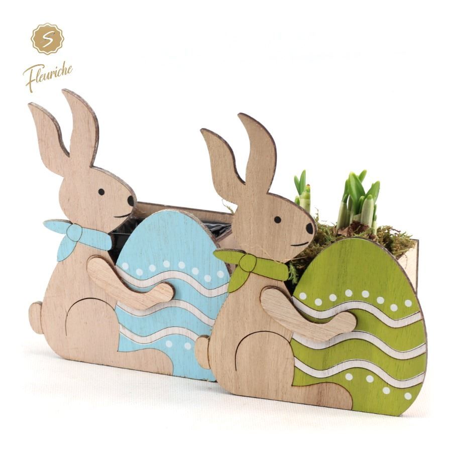 (11911) Narcissus Easter Bunny 1PP Mos, D 13