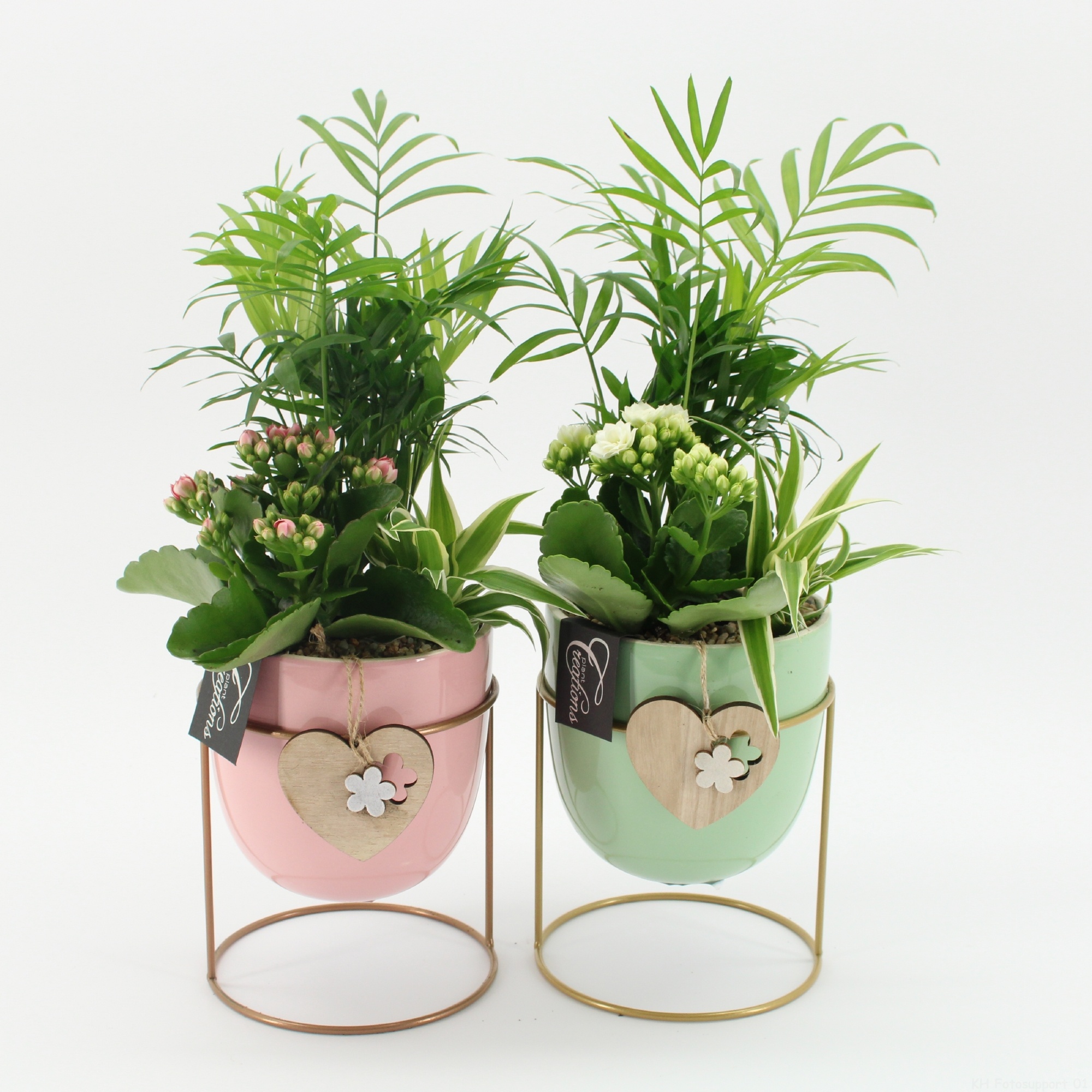 ENMD-2608M English Mother's day, D 13