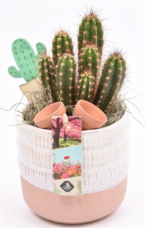 Keramiek pot wit/roze 12cm, D 12