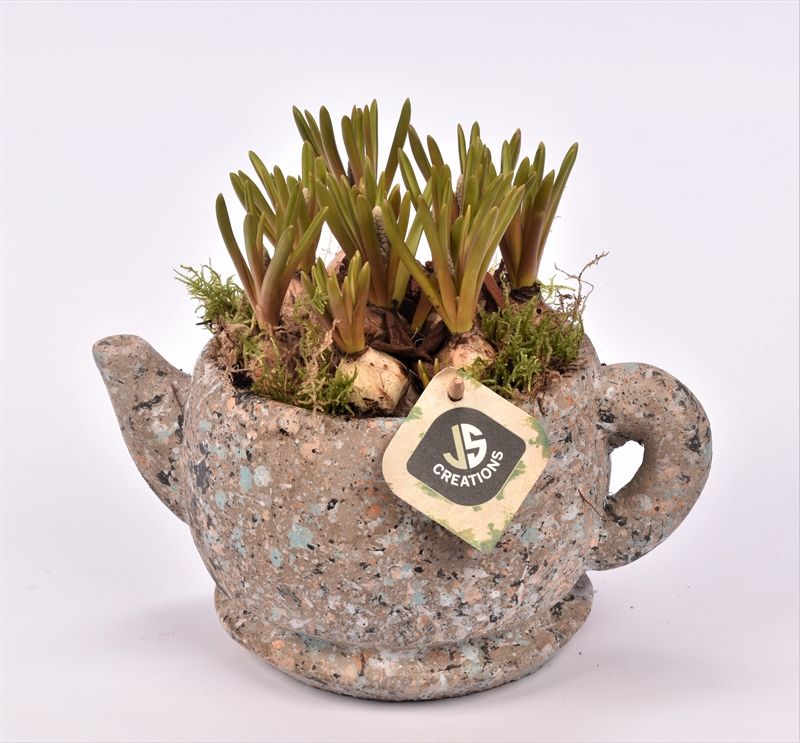 Cement theepot 22cm, D 22