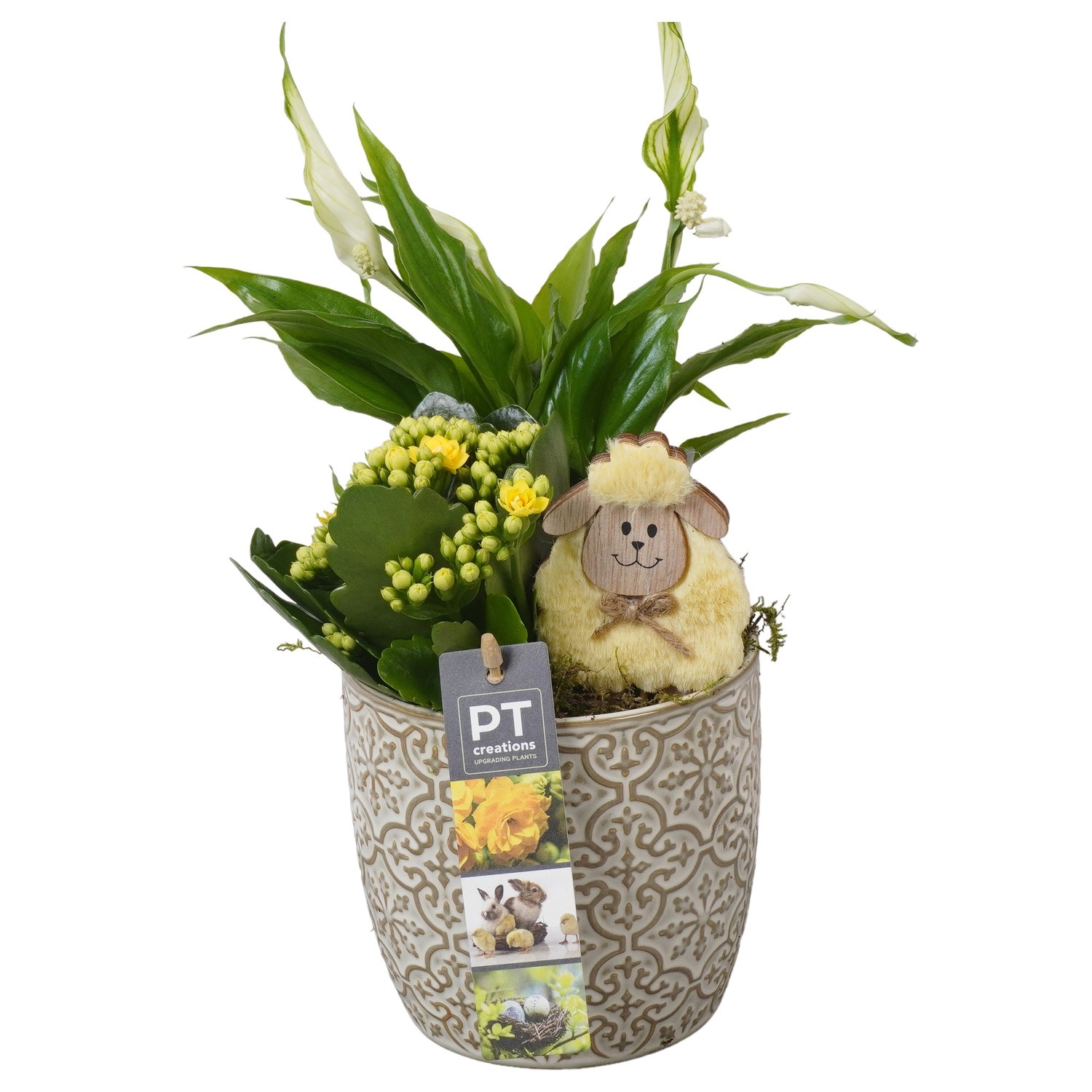 PTPB6508 Arrangement Easter in keramiek pot, D 12
