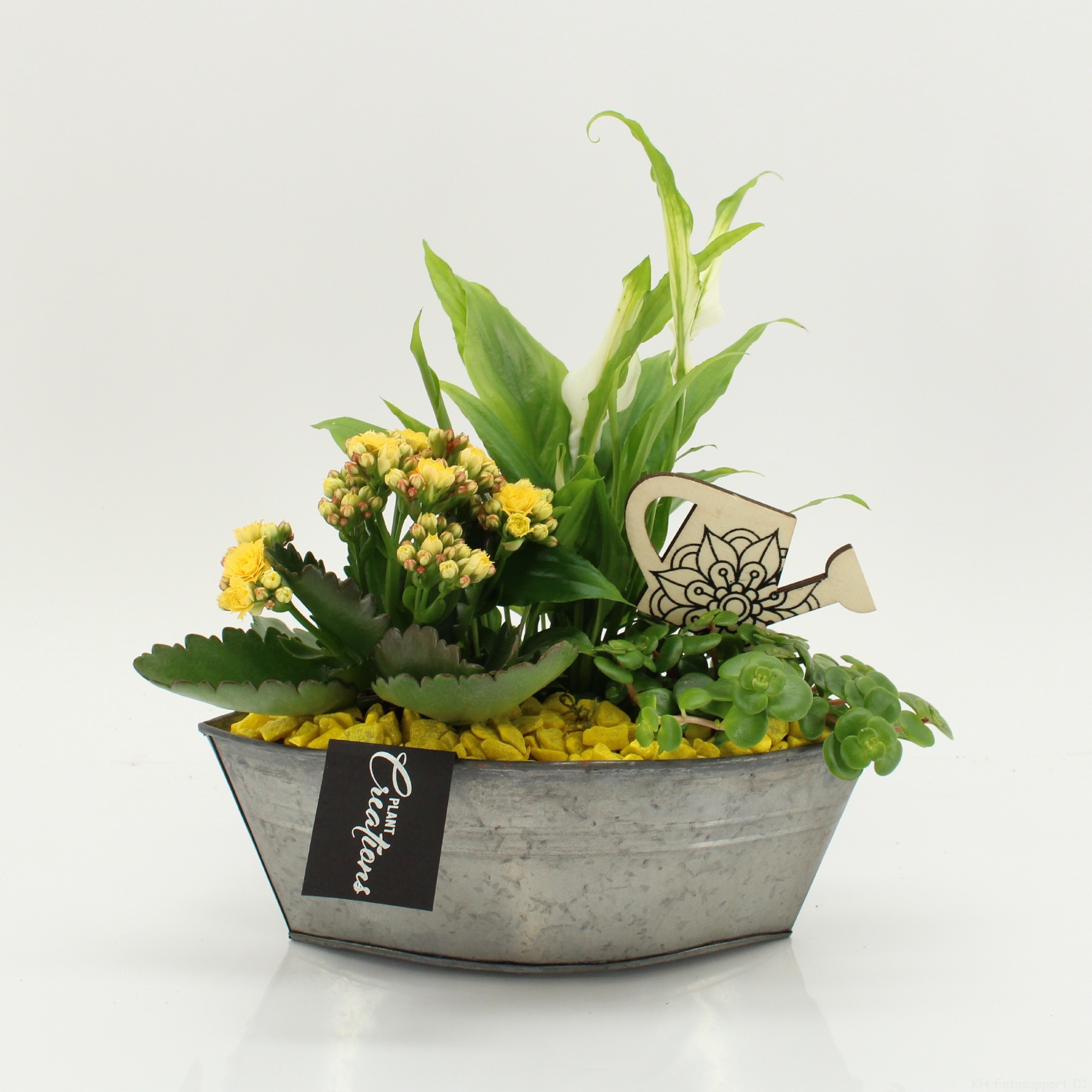 FDCR-2614G Basic Fundamentals, D 22