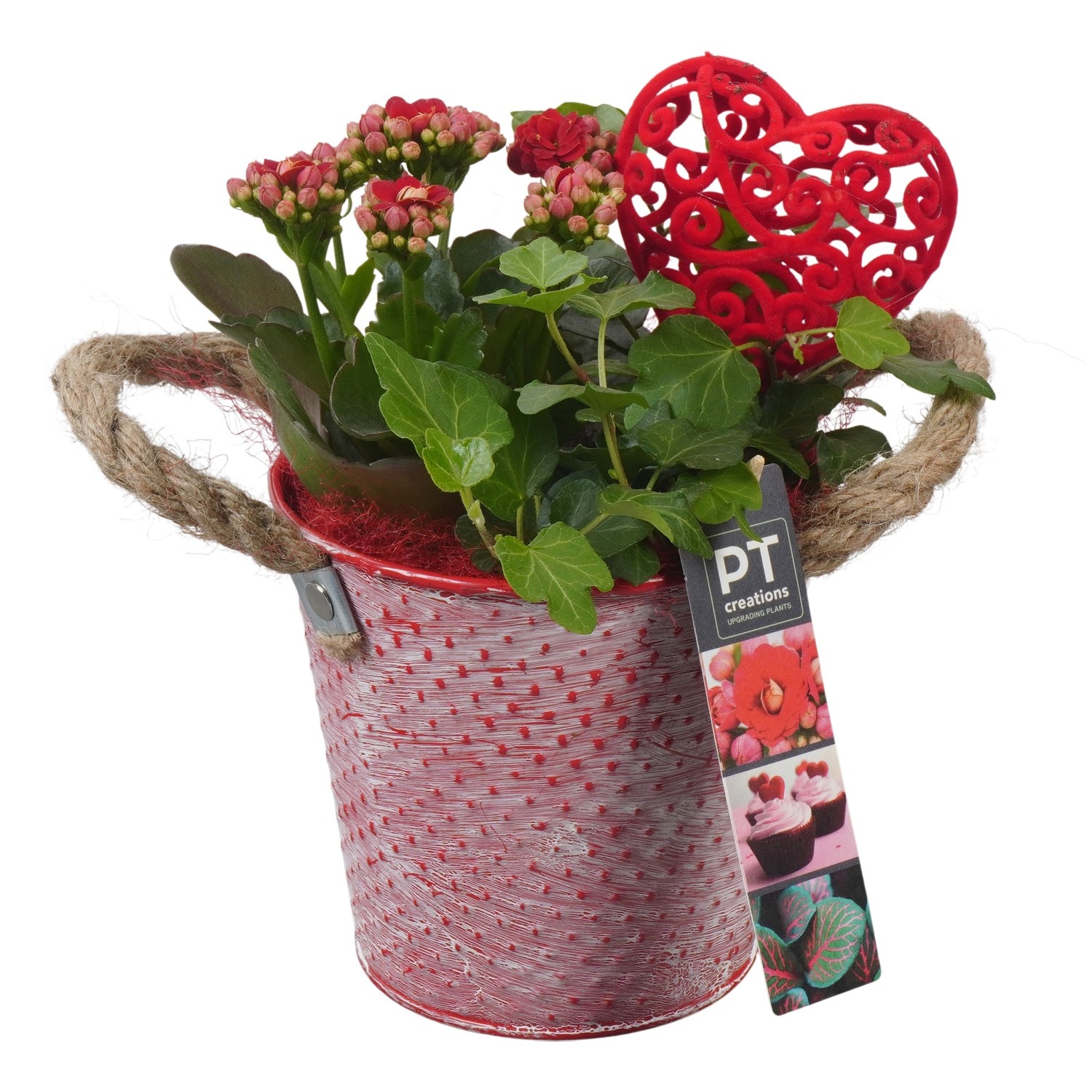 PTVMB2362 Arrangement Valentines-Mothersday in zink sierpot, D 12