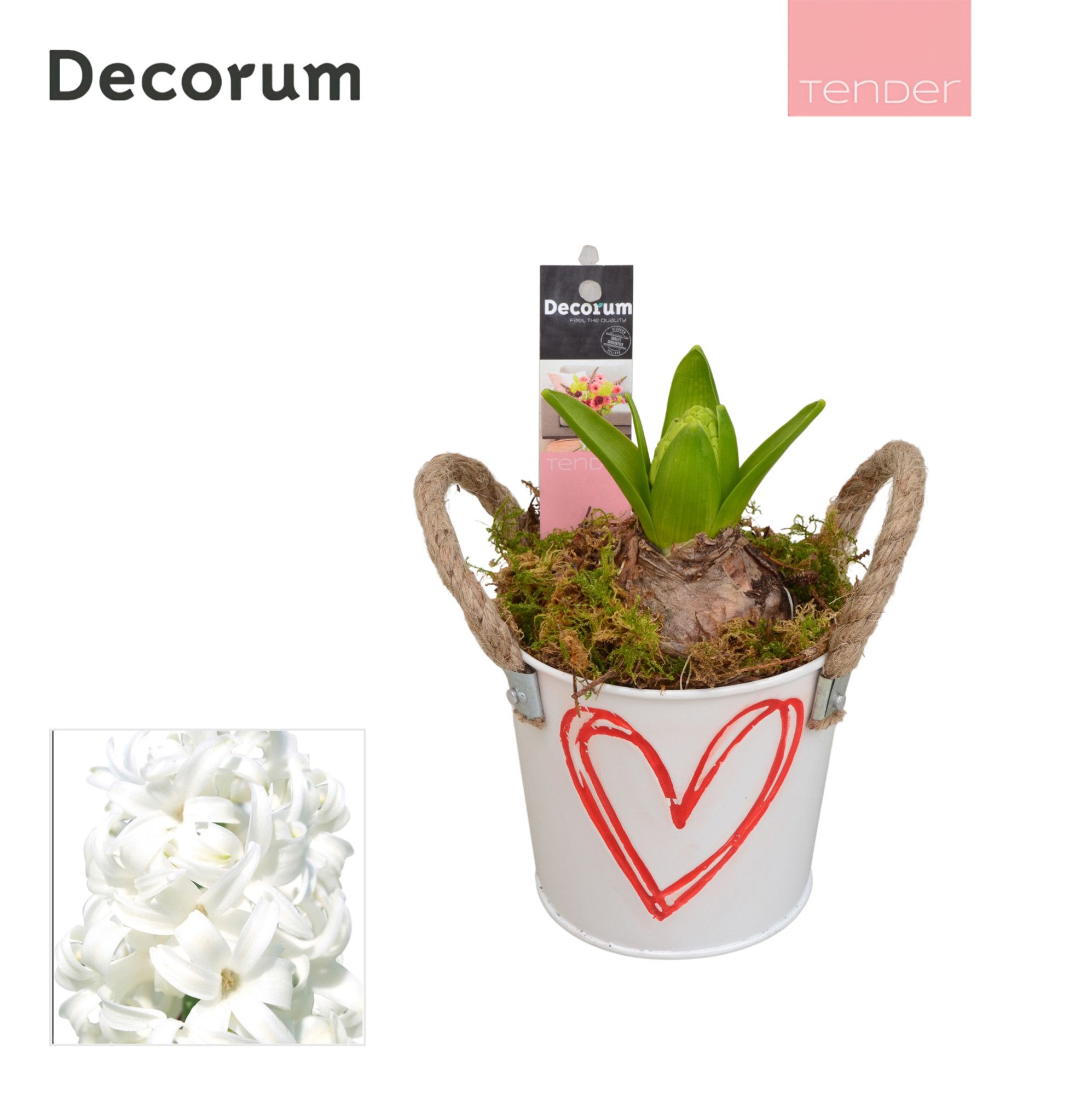 Hyacint Bucket Mini HL10774WP [TENDER], D 10