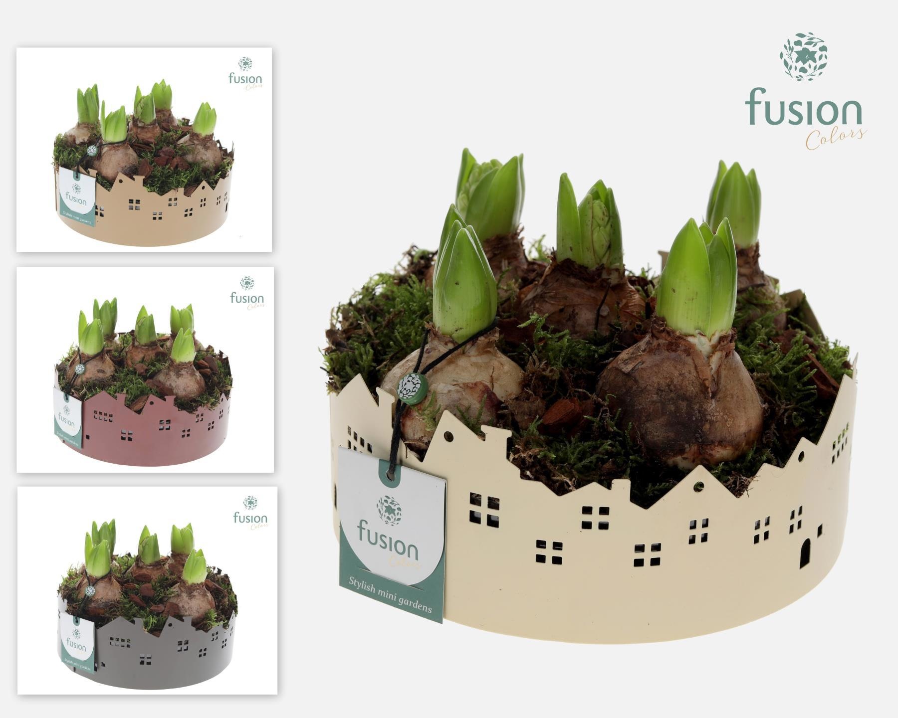 Zinken schaal Huisjes Medium Hyacinthus, D 19