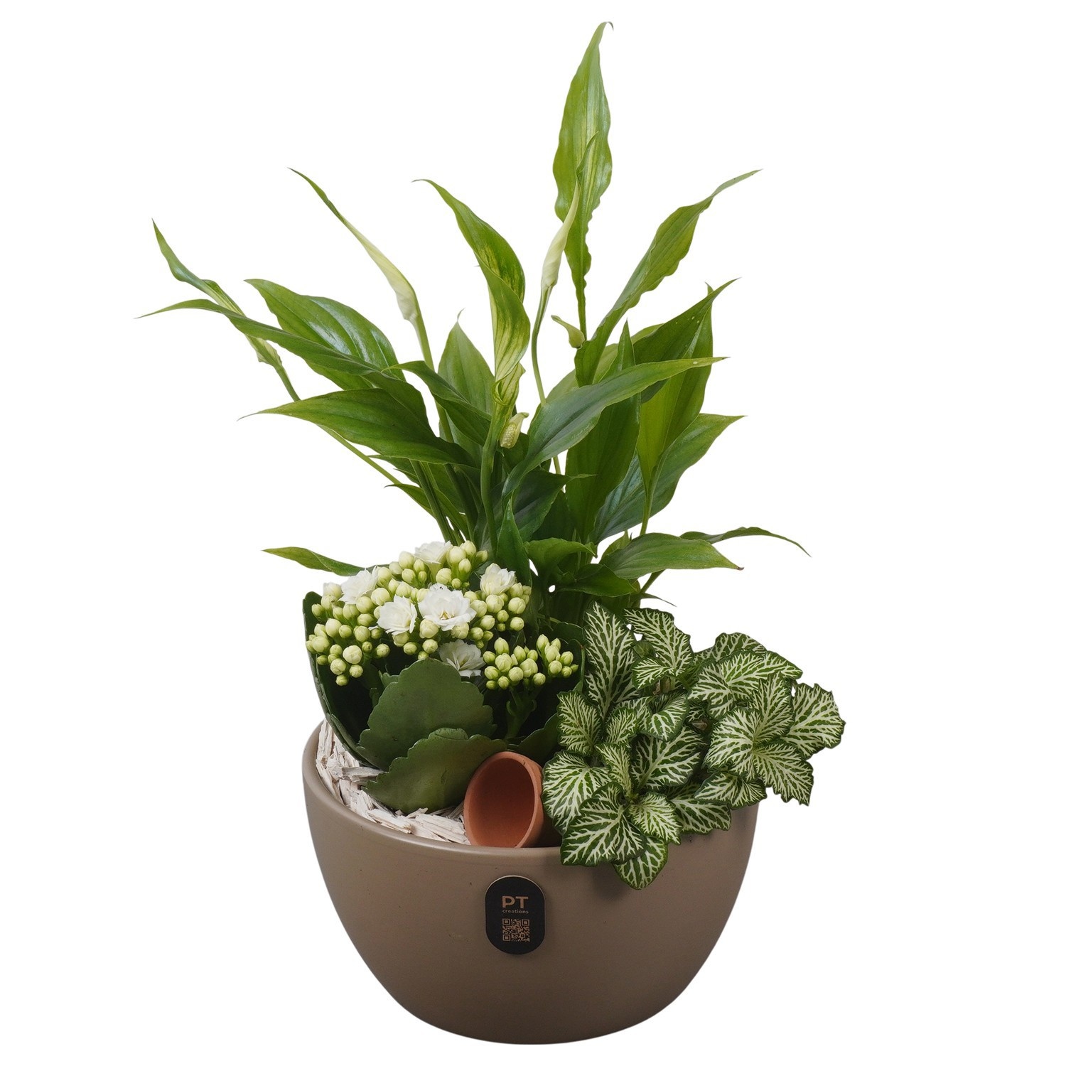 PTIB5161 Arrangement Indoor in keramiek schaal, D 16