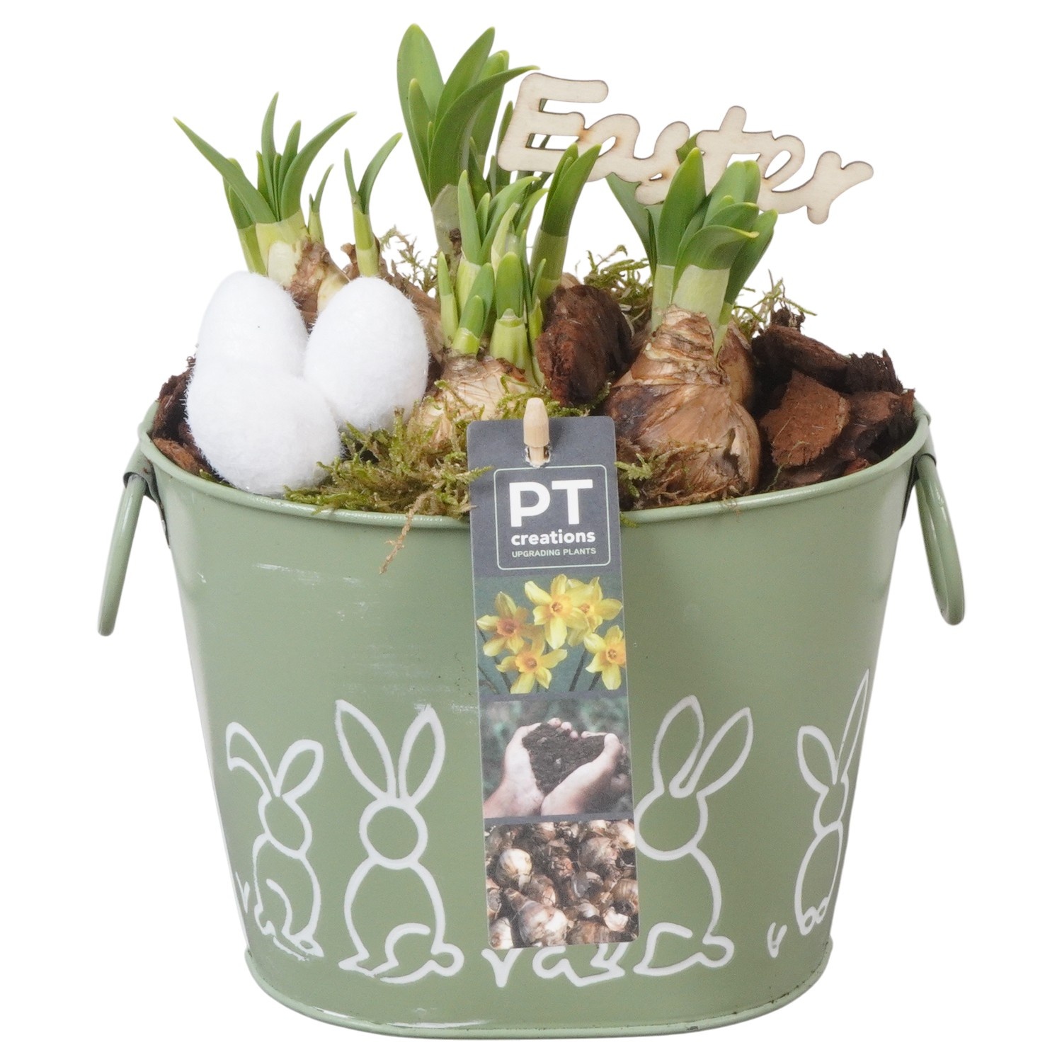 PTNP4443 Arrangement Narcissus Easter in zink pot, D 17