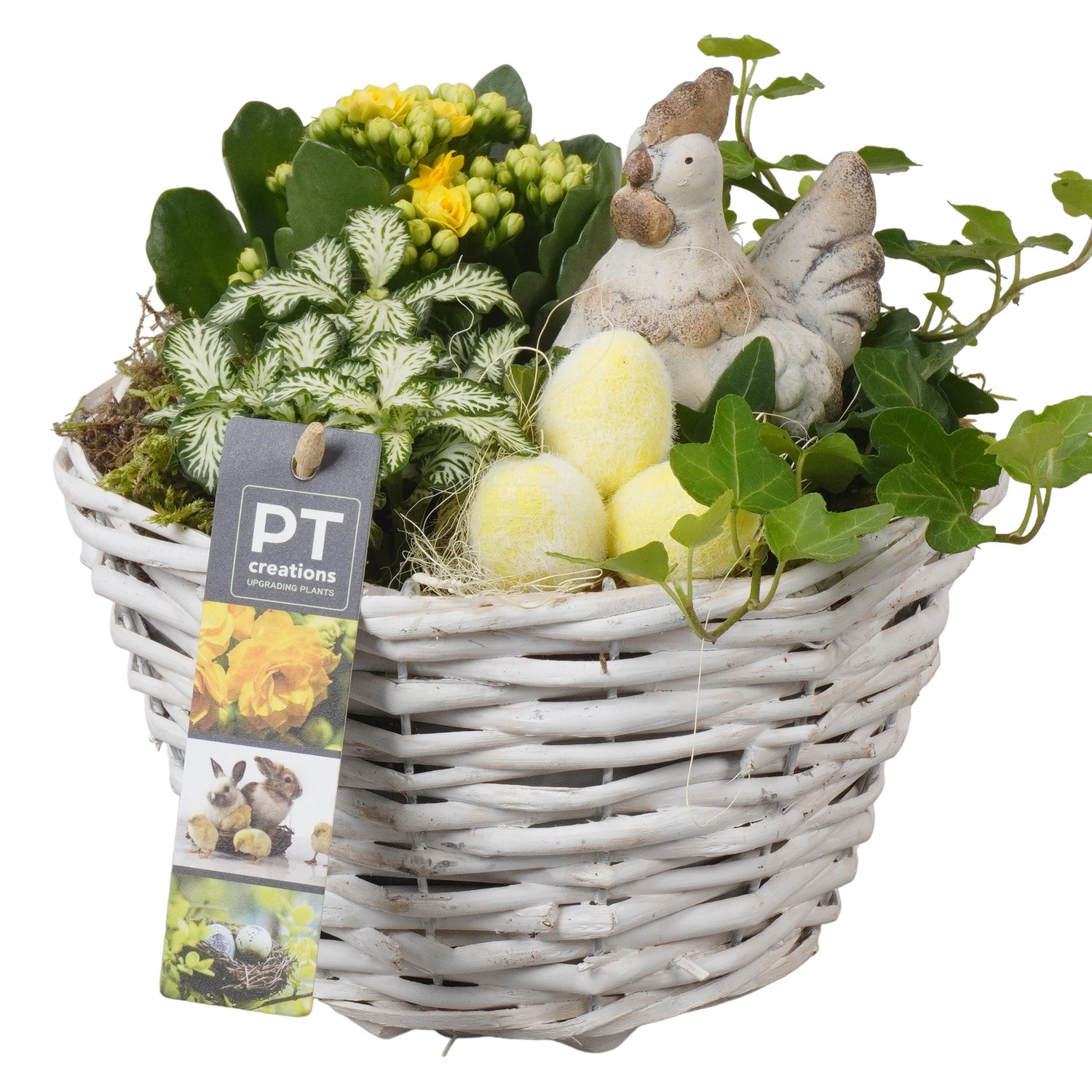 PTPB6561 Arrangement Easter in rieten mand, D 18