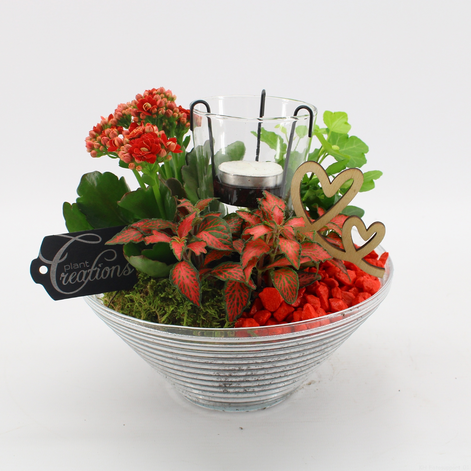 FDRM-2603R Romantic Fundamentals, D 20