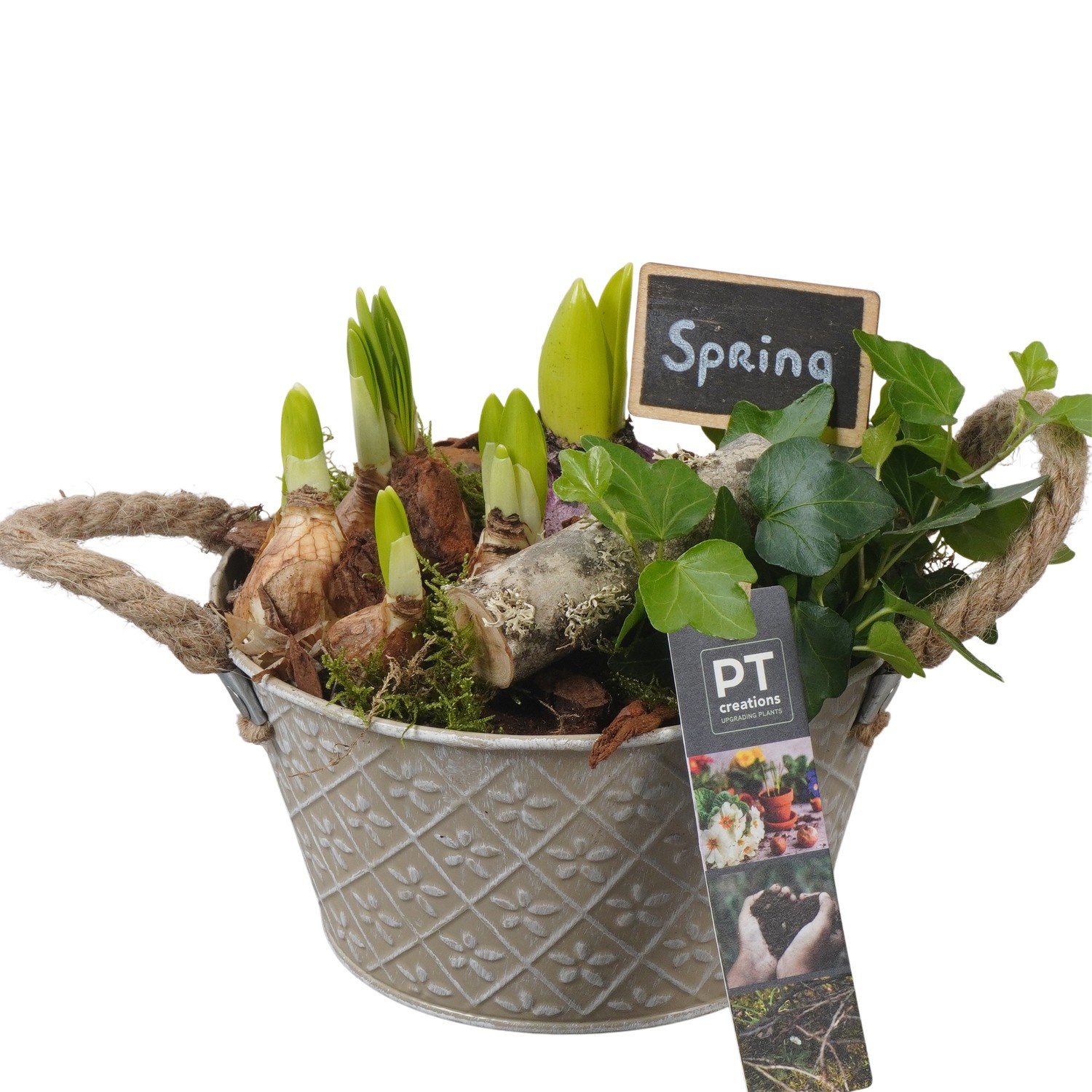 PTBM3750 Arrangement Flower Bulbs Mix in metalen pot, D 18