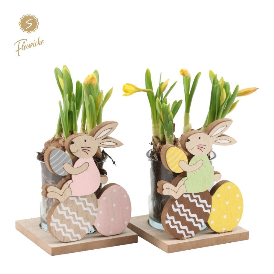 (1416) Narcissus Easter Eggs & Bunnies [M], D 15