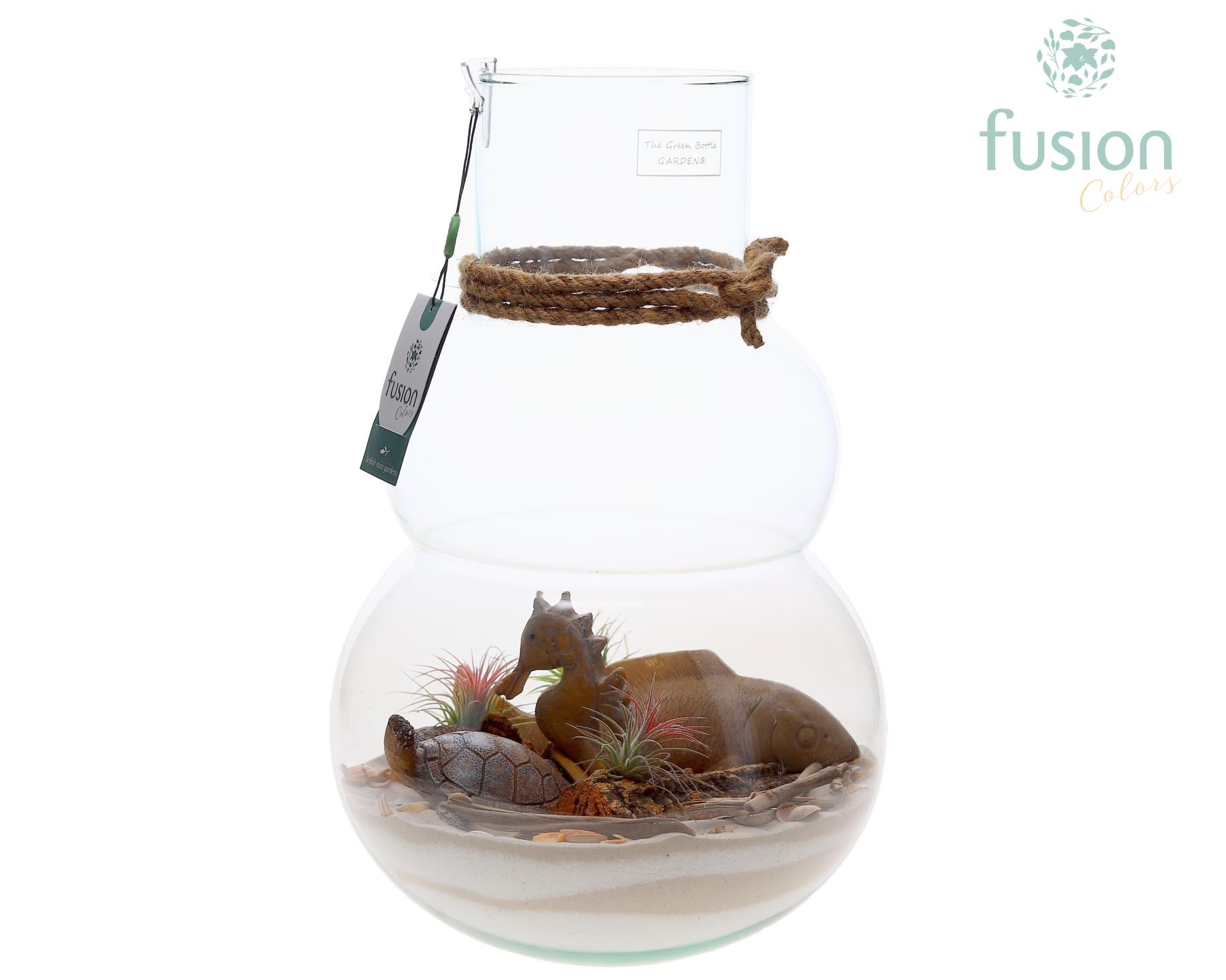 Green Bottle Olaf Large met Maritiem arrangement, D 26