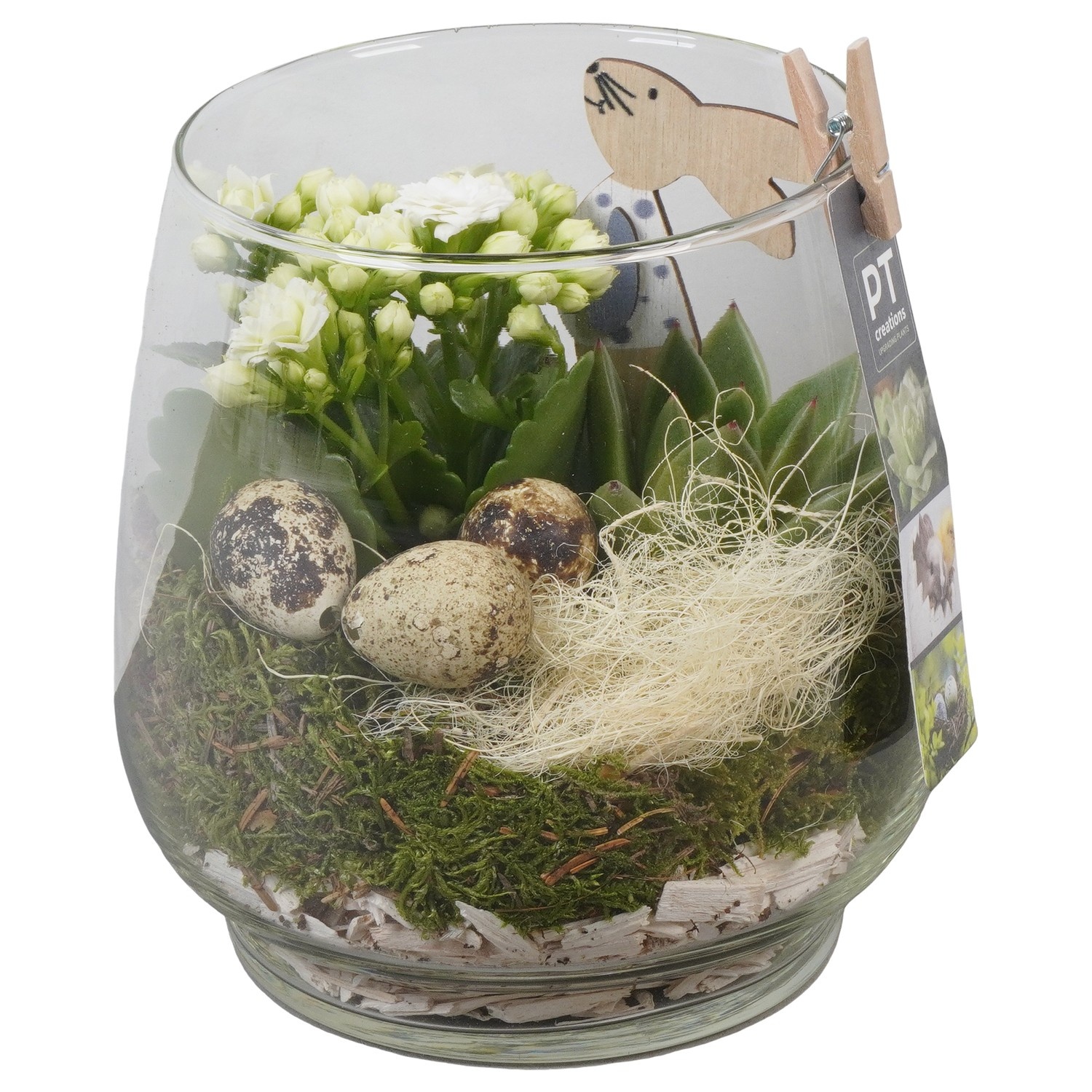 PTPG9376 Arrangement Easter in glas vaas, D 16