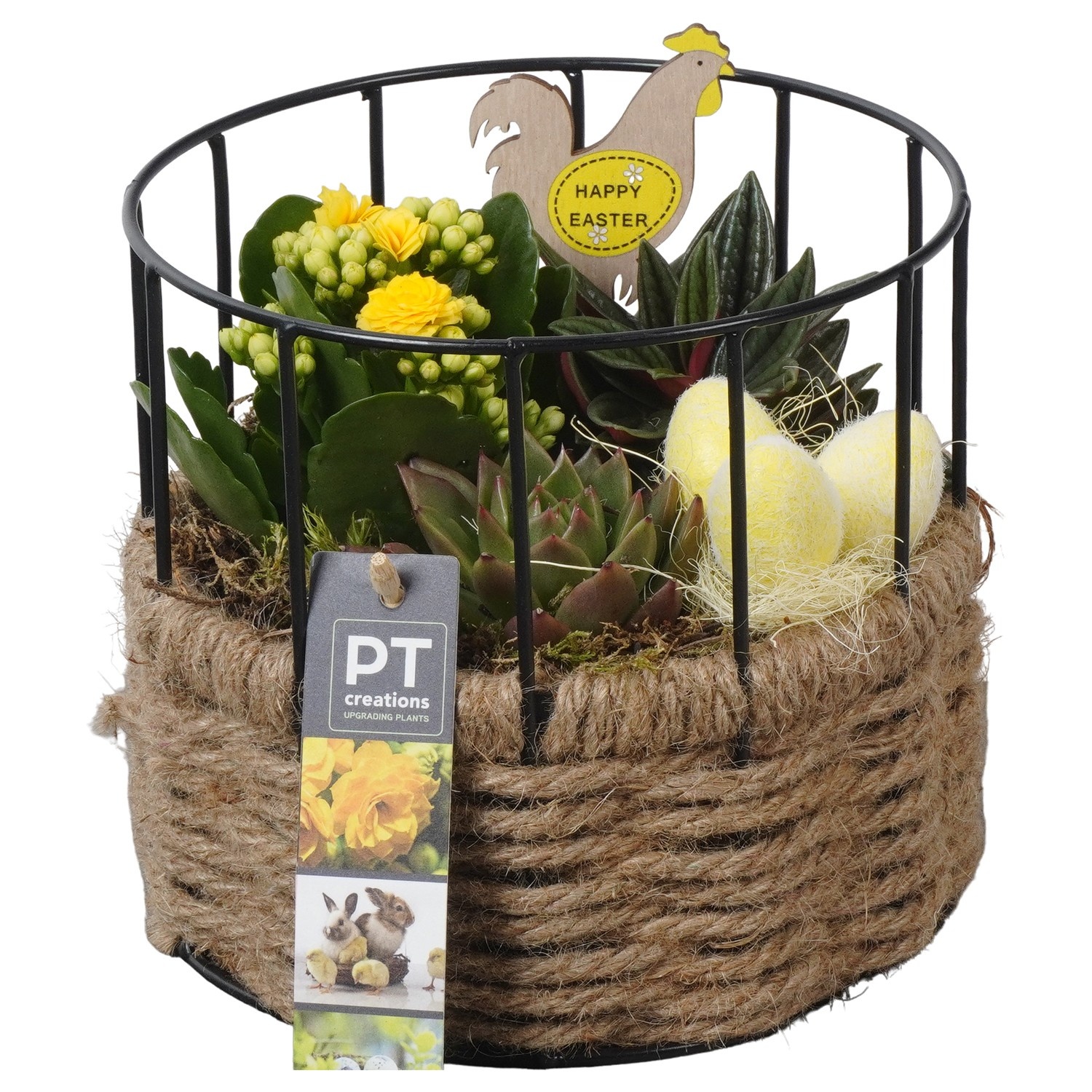 PTPB6571 Arrangement Easter in touw mand met metaal, D 17