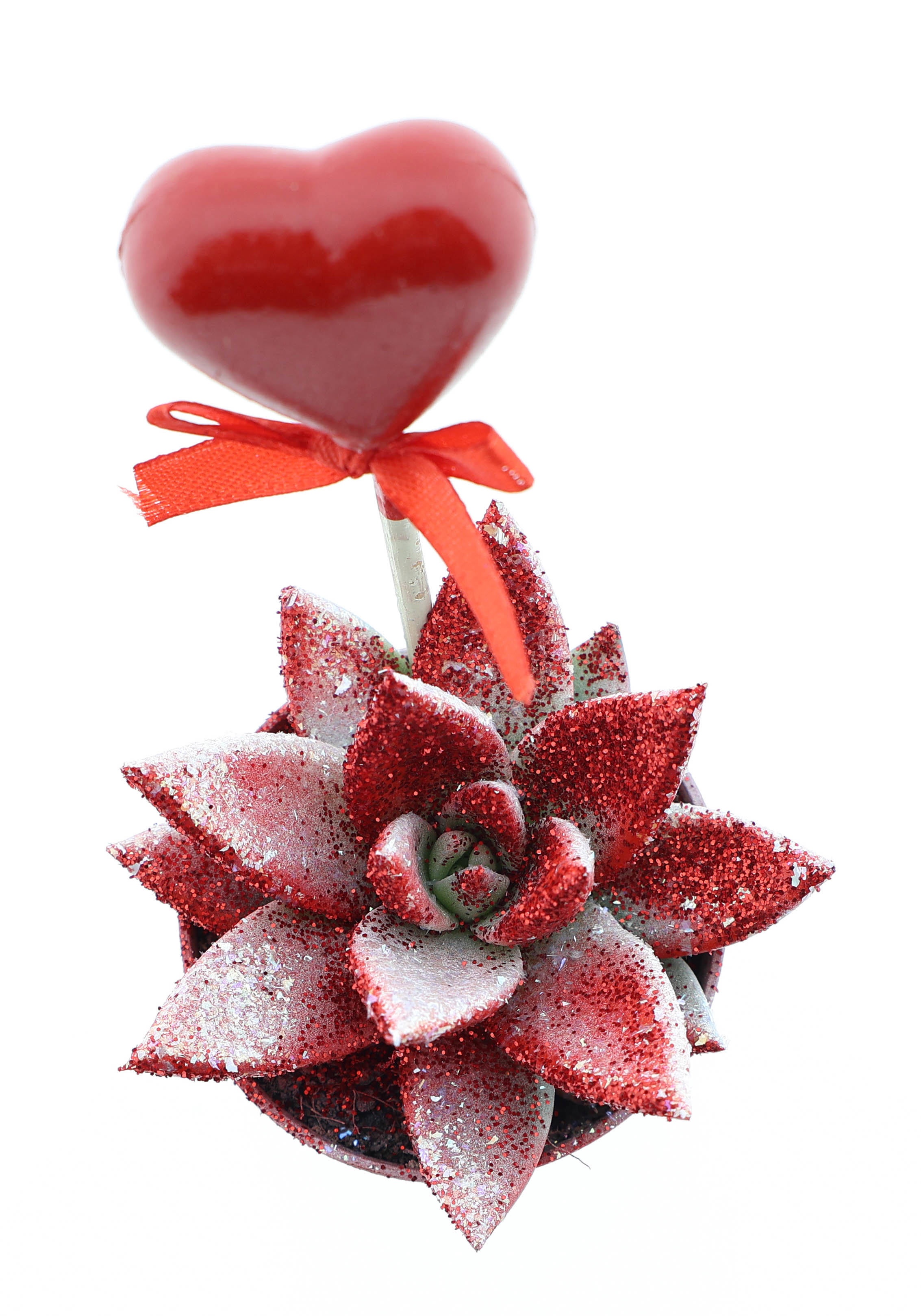 Miranda Valentine rood/wit glitter + hartje, D 5,5