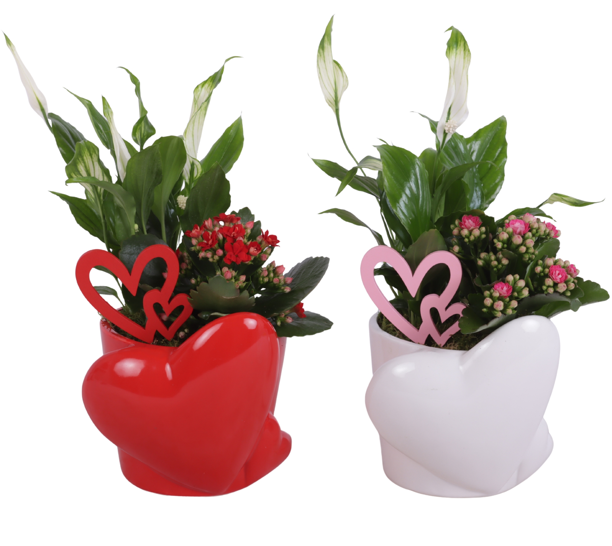 Valentine Arr. Indoor Ceramic Heart Pot Red/White Ø16cm 2PP, D 16