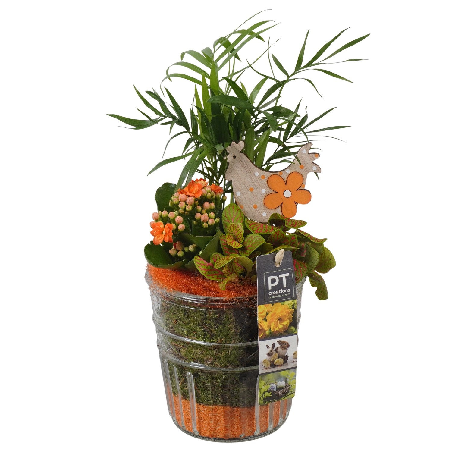 PTPG9393 Arrangement Easter in glas vaas, D 12