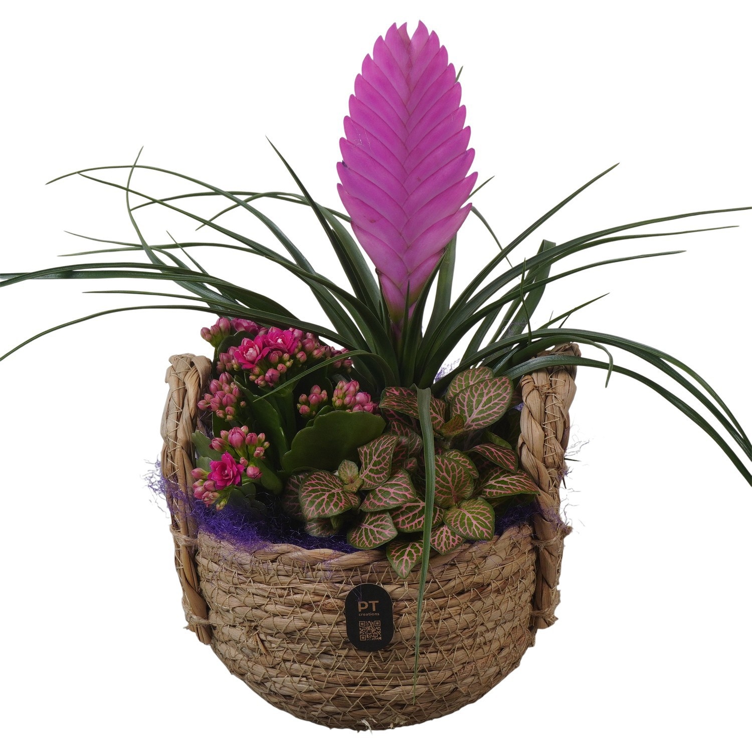 PTIB5235 Arrangement Indoor in rieten mand, D 15