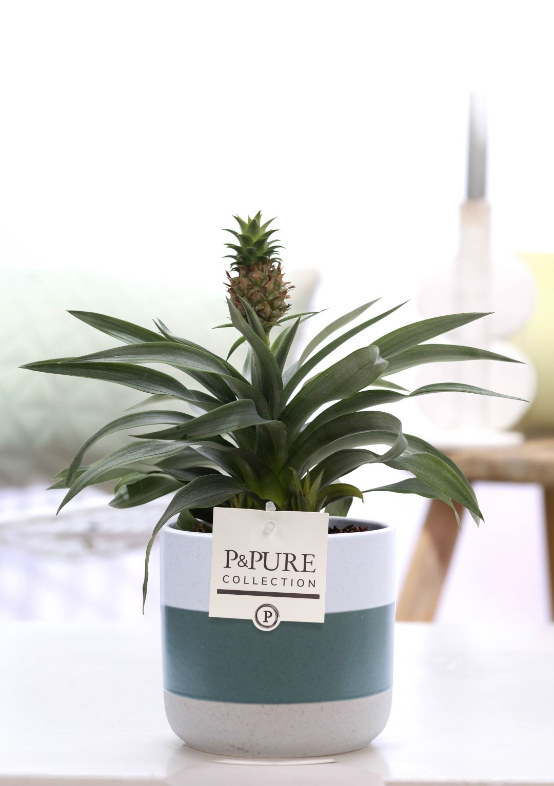 Ananas Rosita in P&PURE Lauren ceramics, D 12