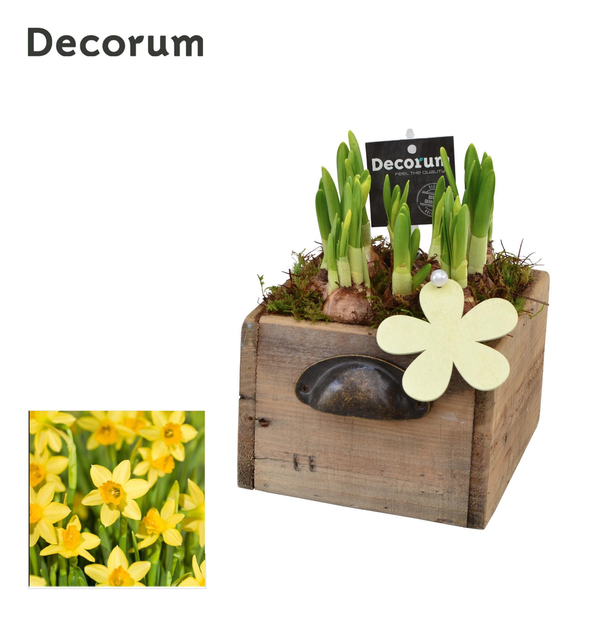 Narcis Wooden Drawer HL10753N, D 14