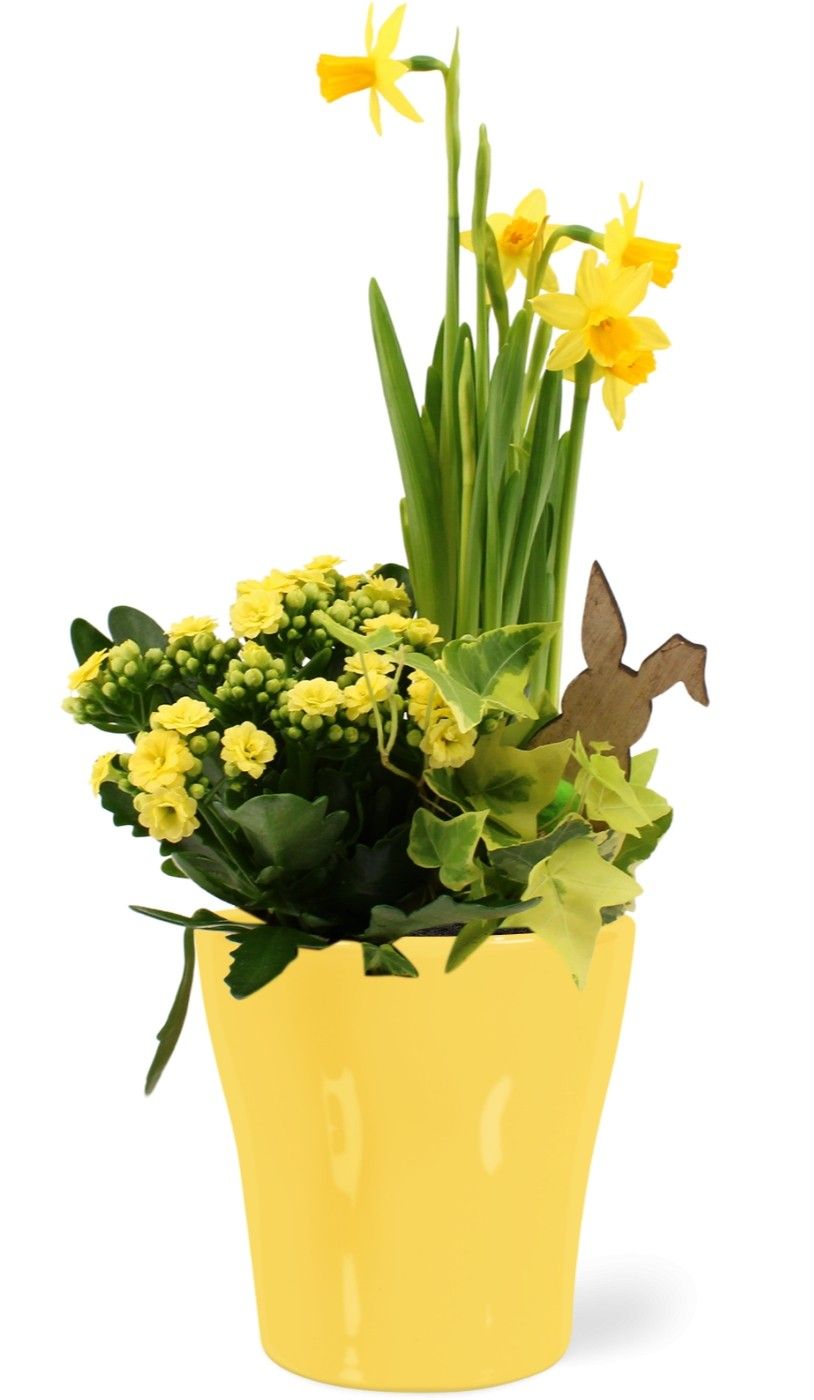 Paas Arrangement keramiek bombe kalanchoe narcis, D 12