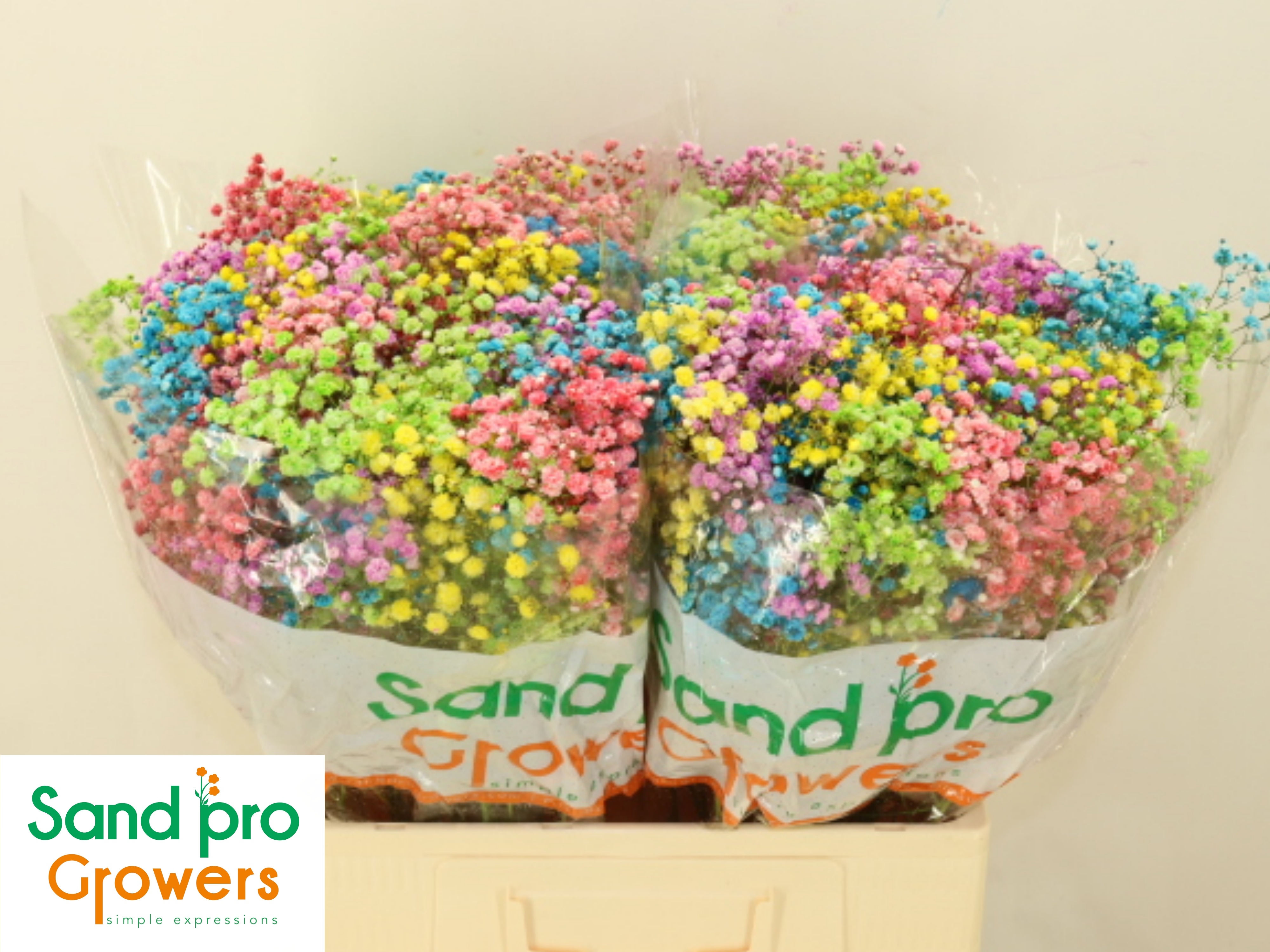 Гипсофила Овериг Крашеная (краш. ) 60, шт.