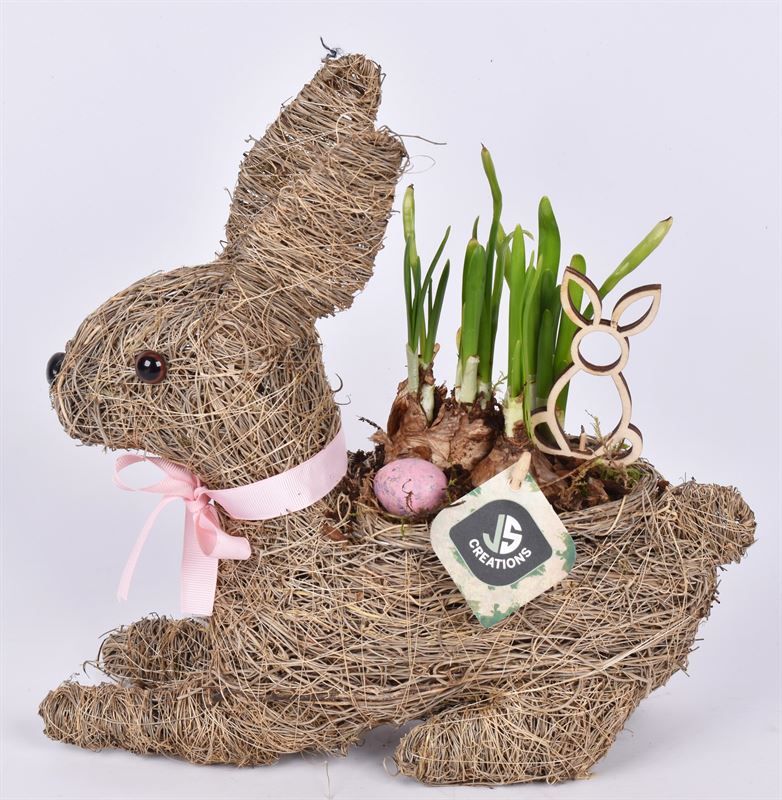 Stro haas 30x10cm, D 30