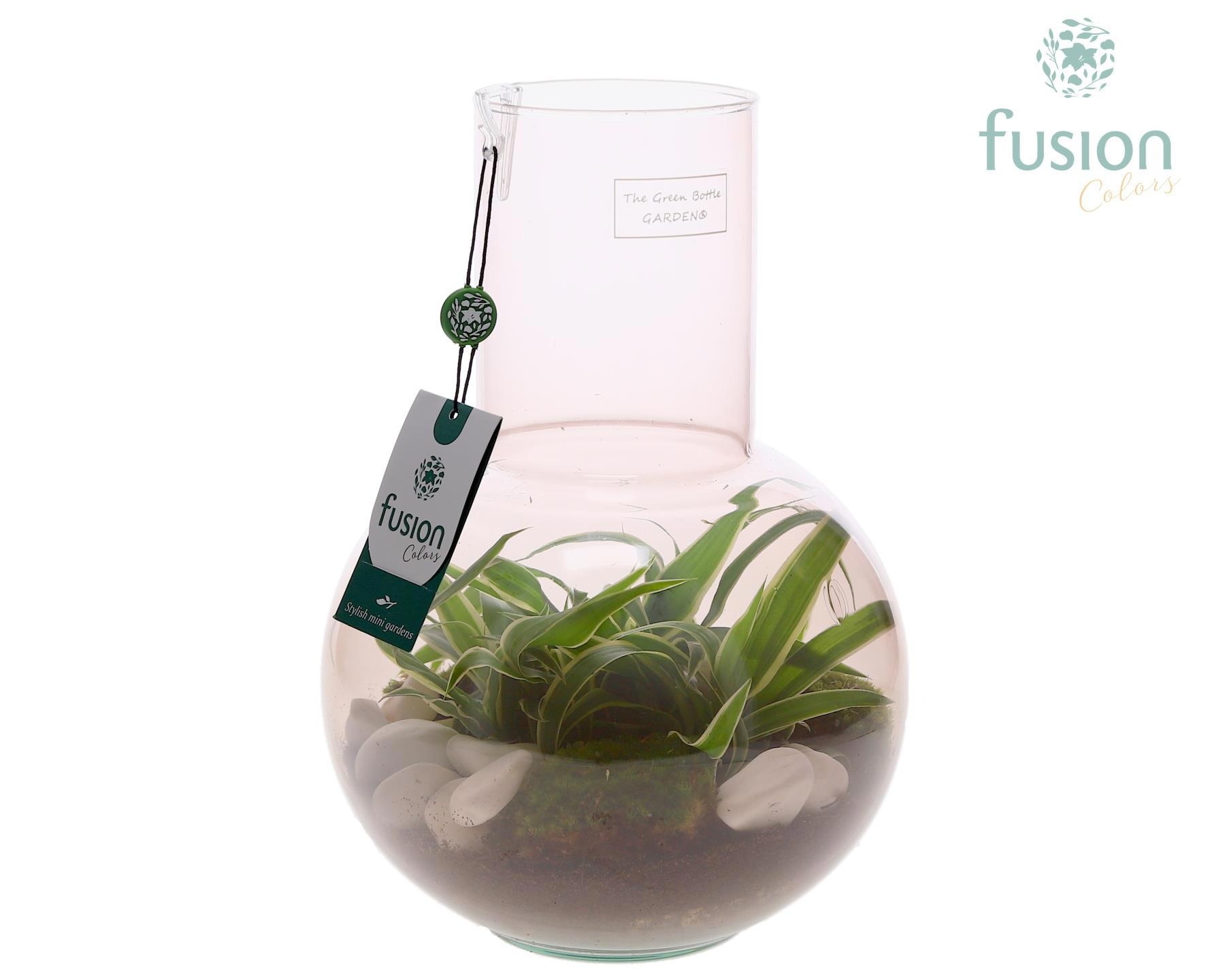 Green Bottle Suzanne Medium Smoky Pink met Chlorophytum, D 21