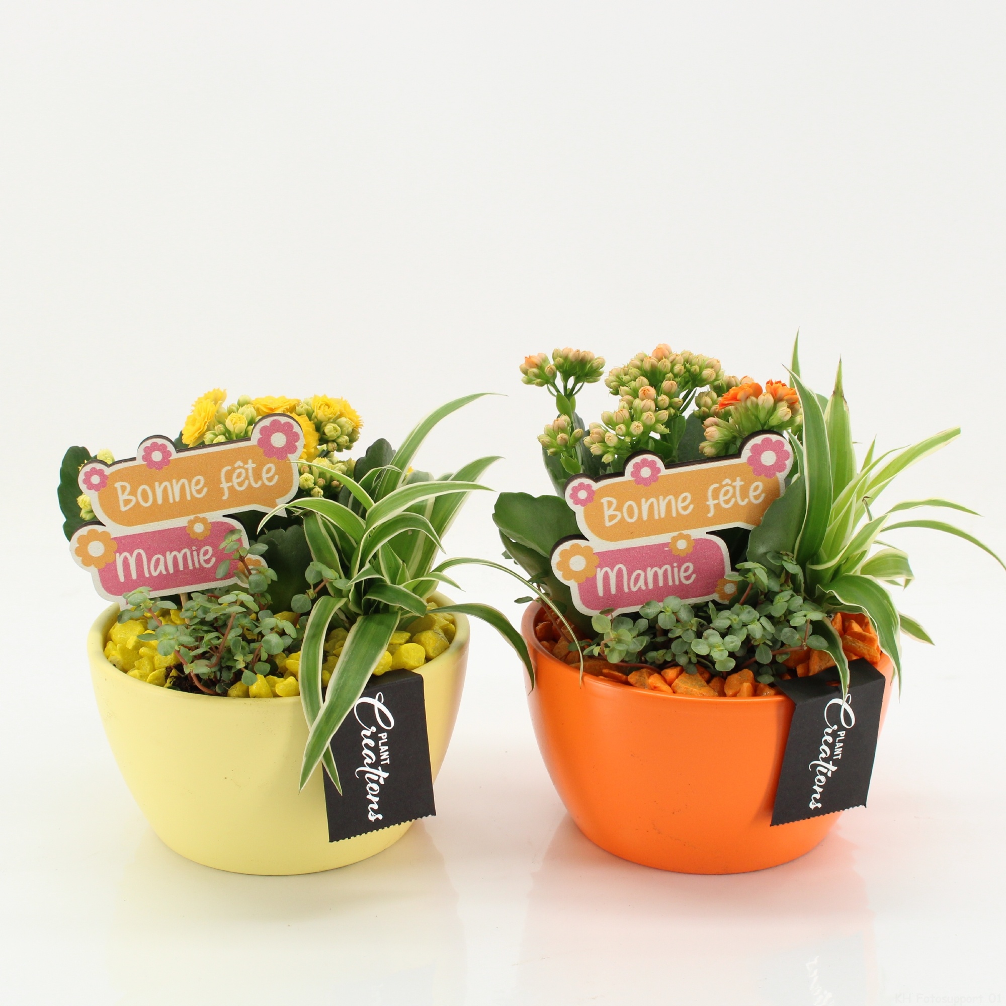 FGCR-2614M Fête des grands-mères, D 14