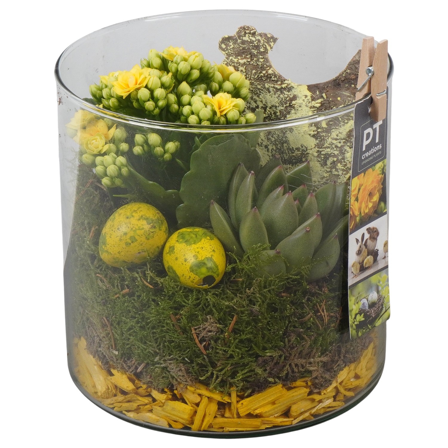 PTPG9326 Arrangement Easter in glas cylinder, D 15