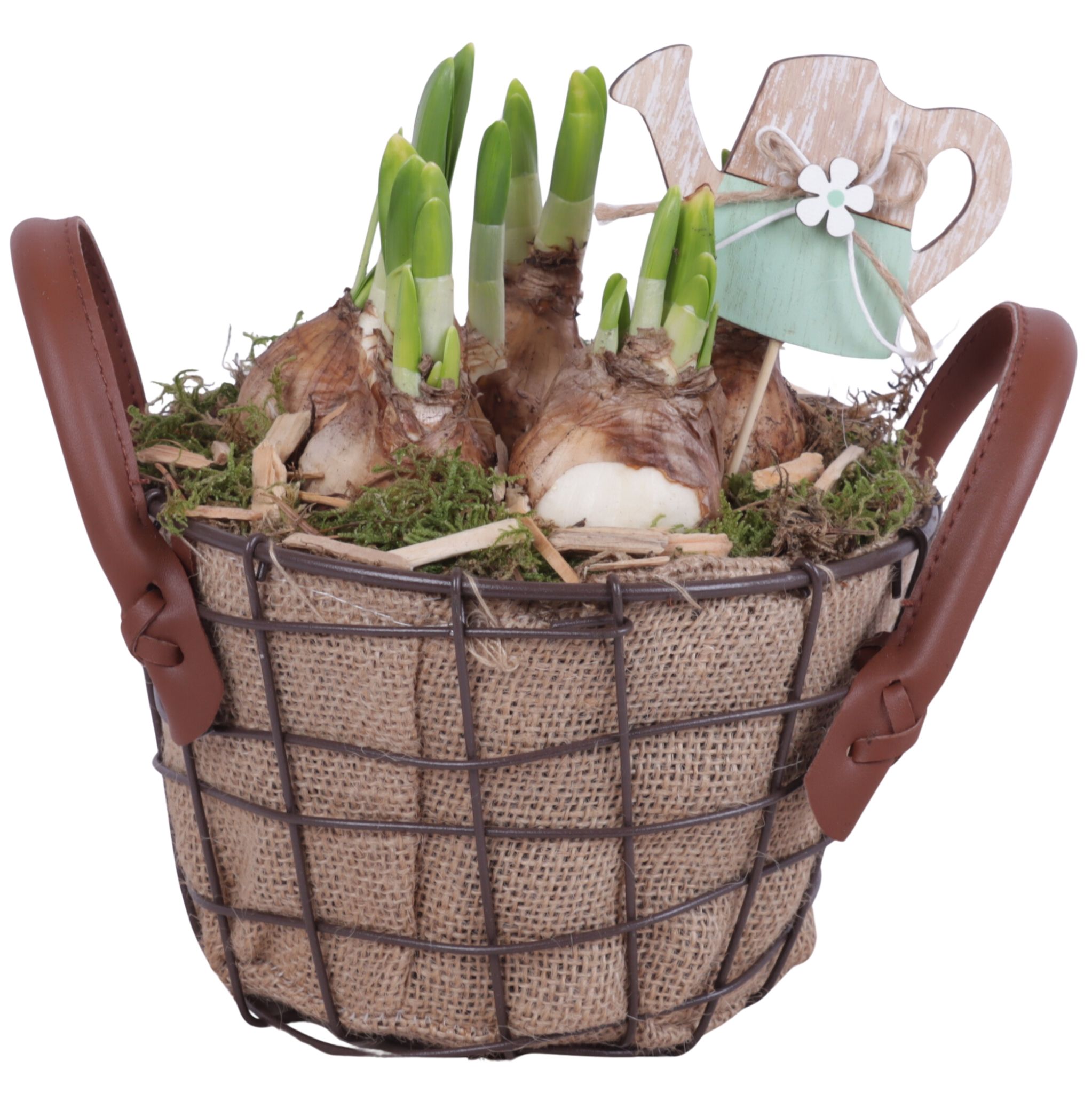Bulbs Arr. Narcis Metal Wire Basket Jute Ø17cm, D 17