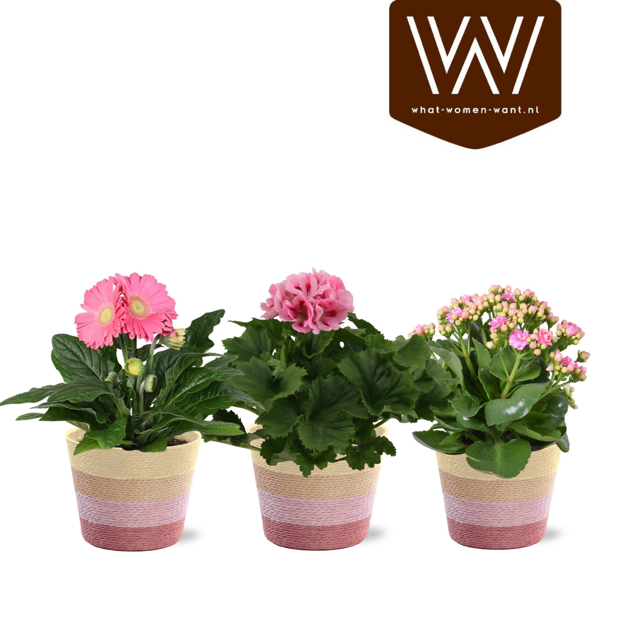 Collectie "Sympathetic Moods" Bloemix in mand Rosalie, D 12