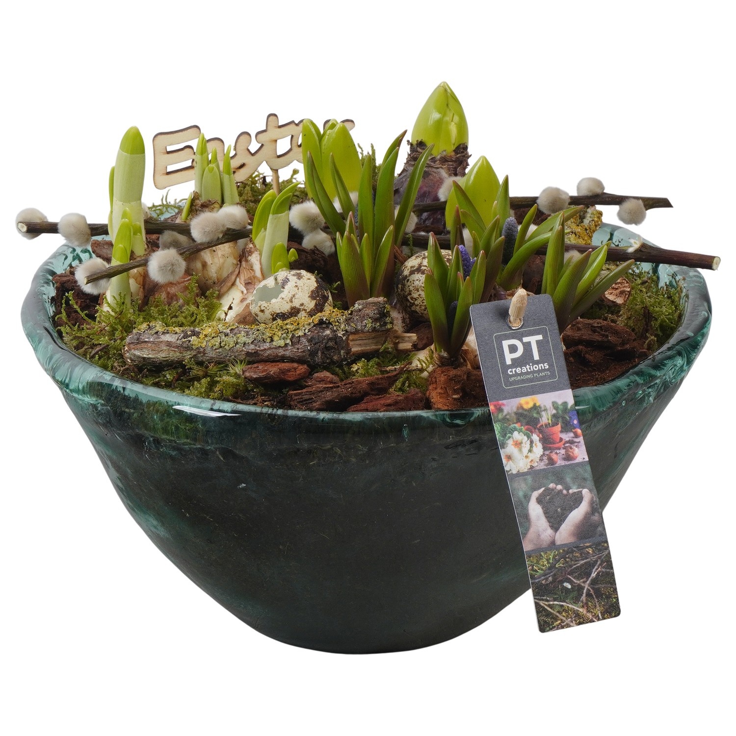 PTBMP5762 Arrangement Easter Bulbs Mix in glas schaal, D 26